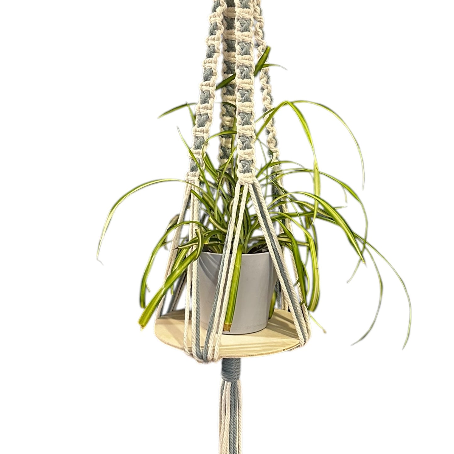 X-Pattern Plant Hanger