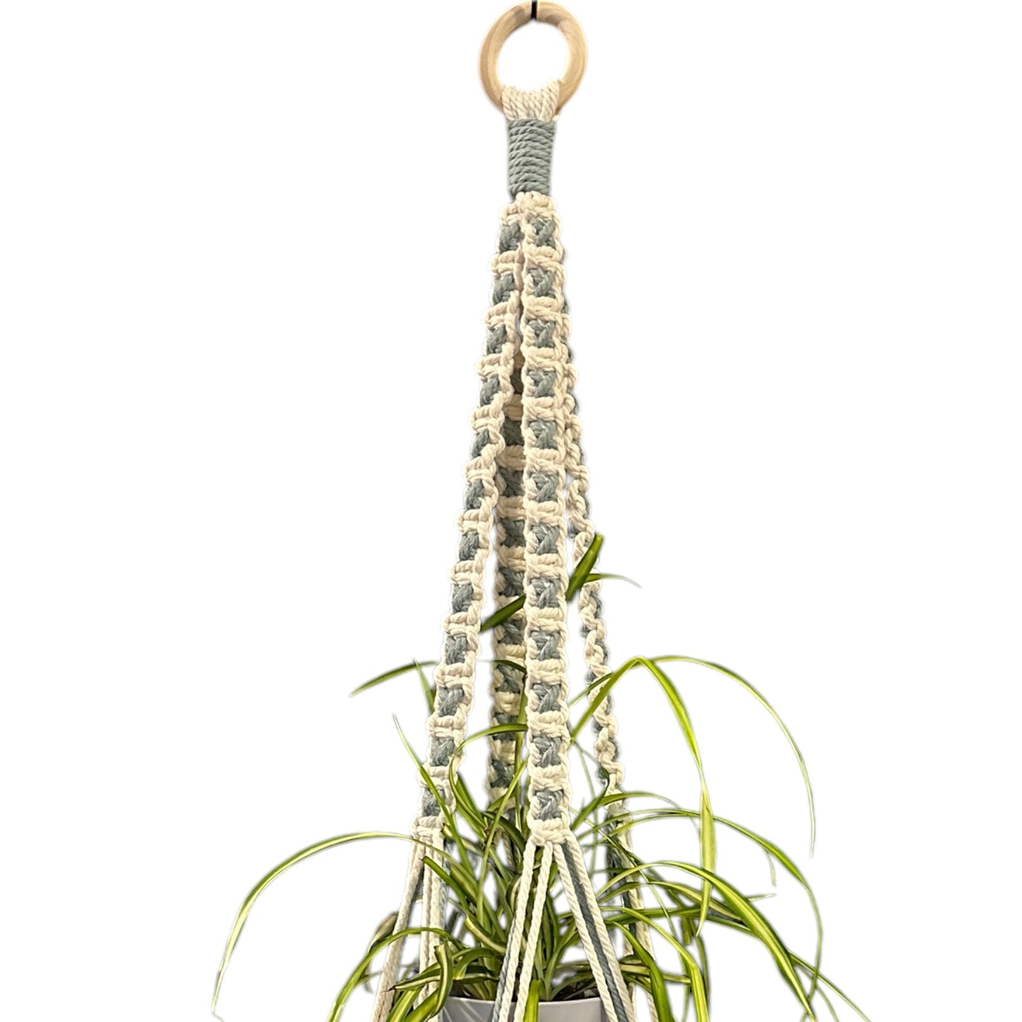 X-Pattern Plant Hanger