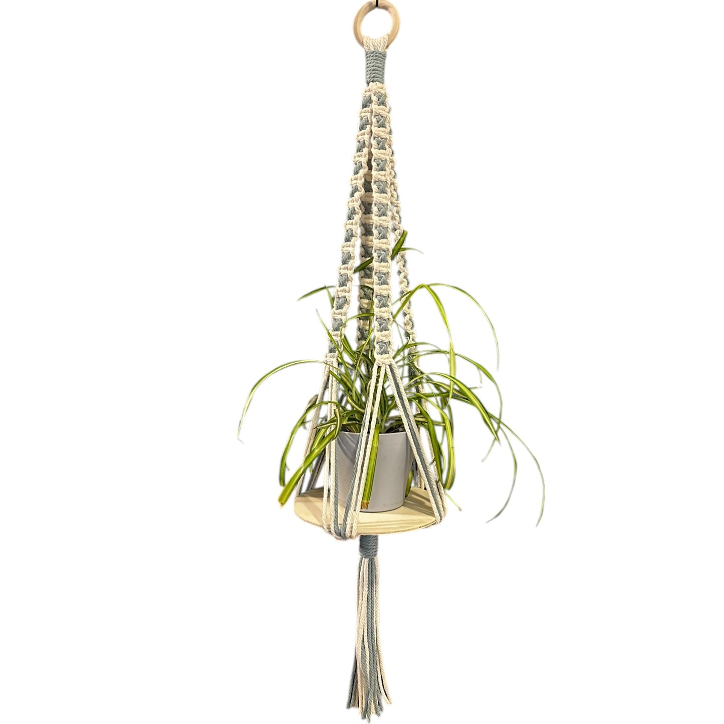 X-Pattern Plant Hanger