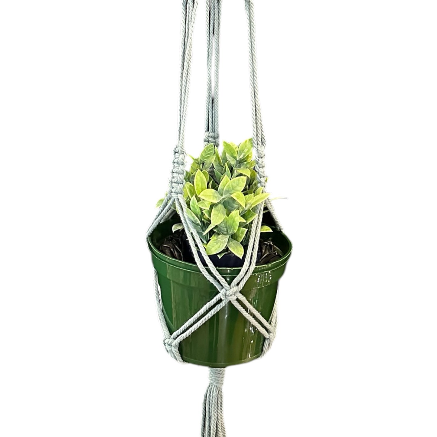 Plant Hanger | Basic