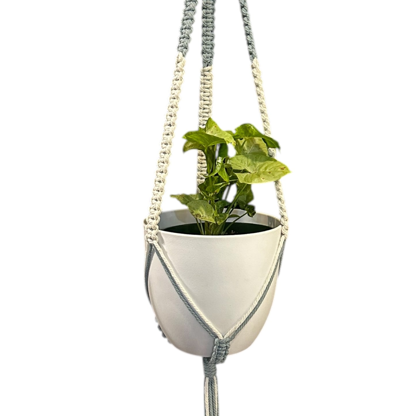 Plant Hanger | Square Knot