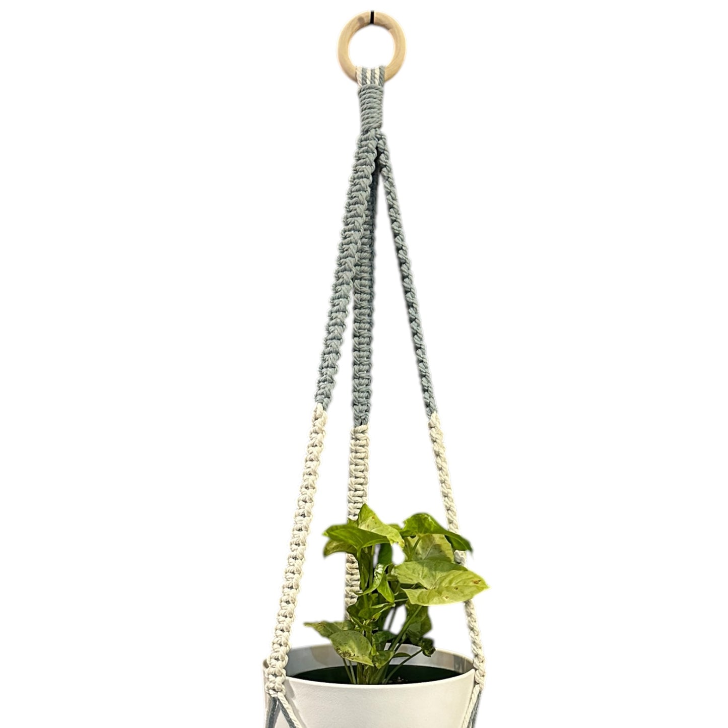 Plant Hanger | Square Knot