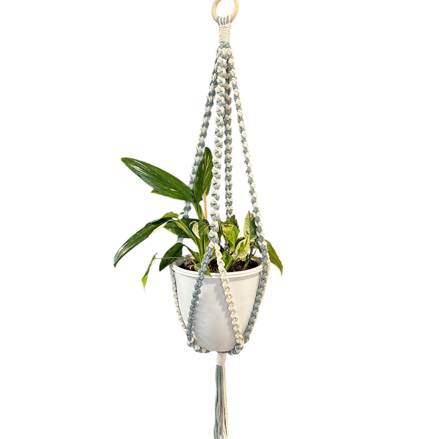 Plant Hanger | Half Hitch Knot