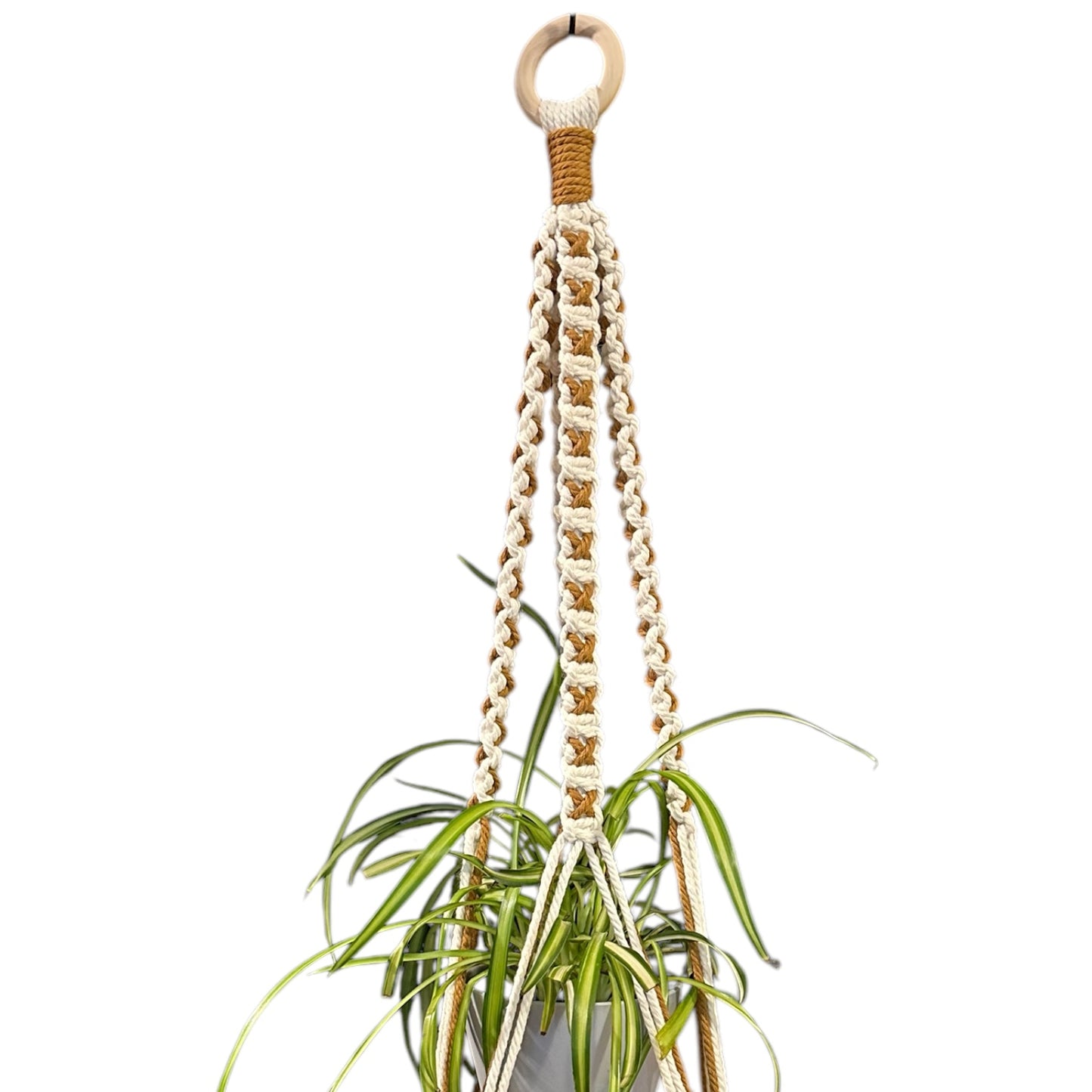 X-Pattern Plant Hanger