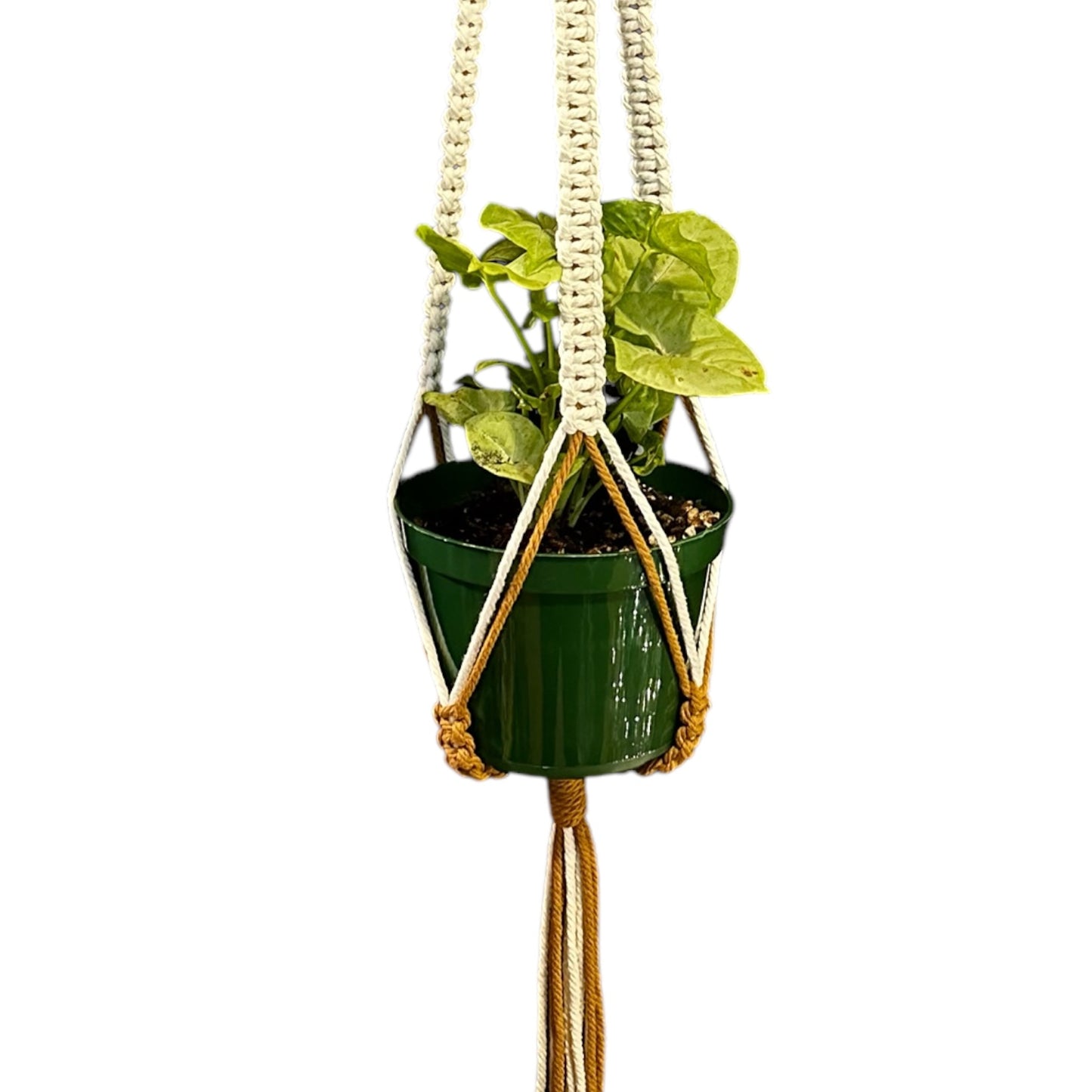 Plant Hanger | Square Knot