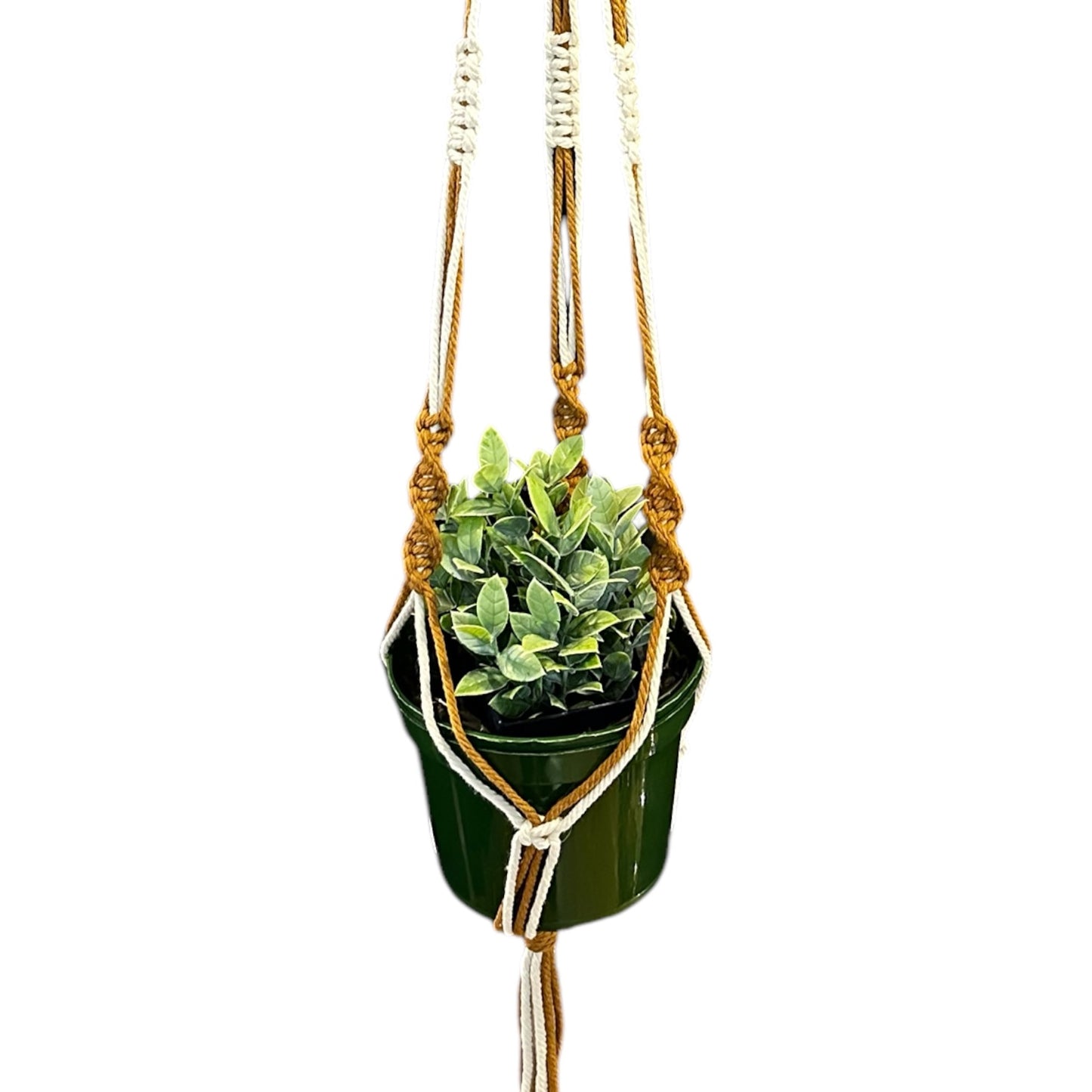 Plant Hanger | Spiral Square