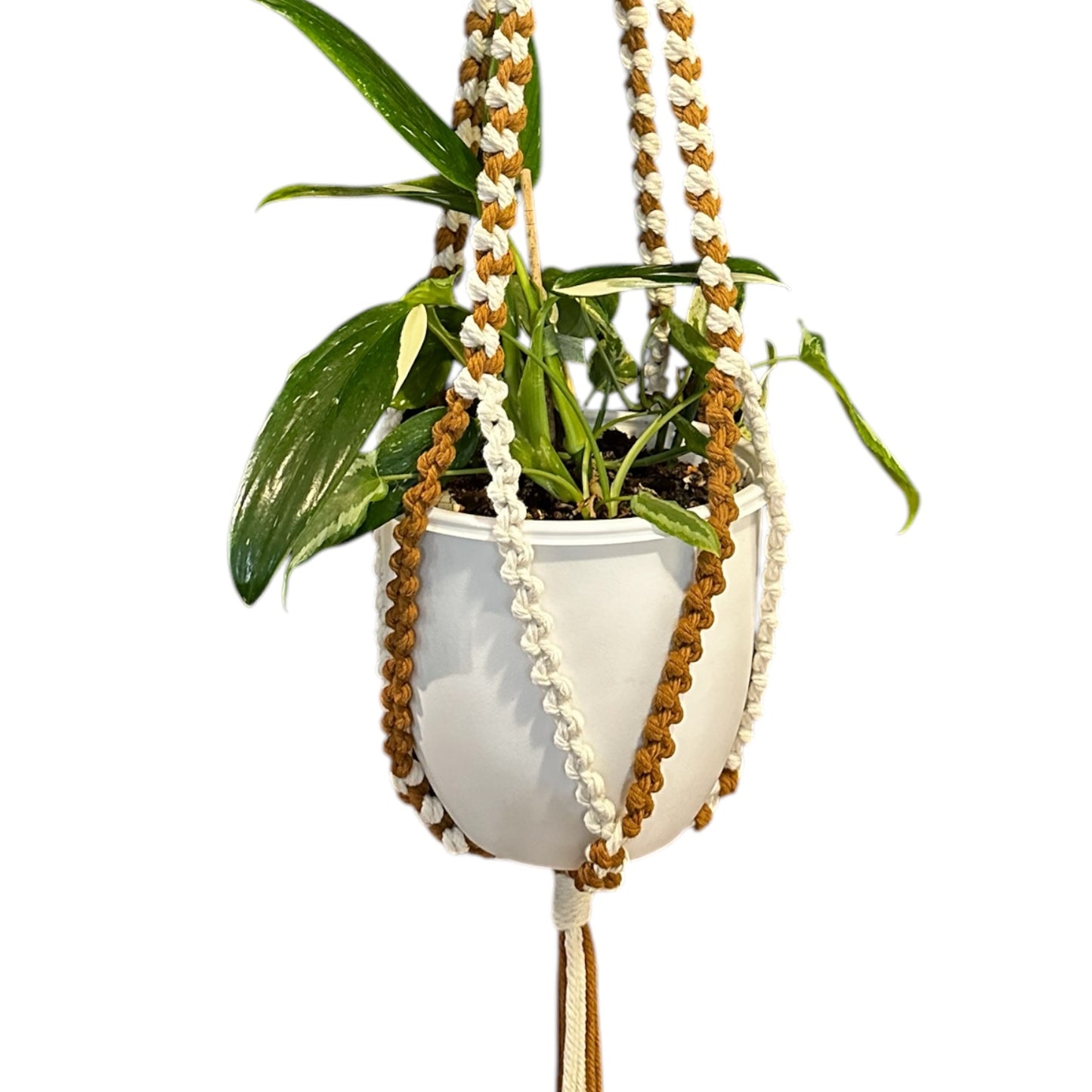 Plant Hanger | Half Hitch Knot