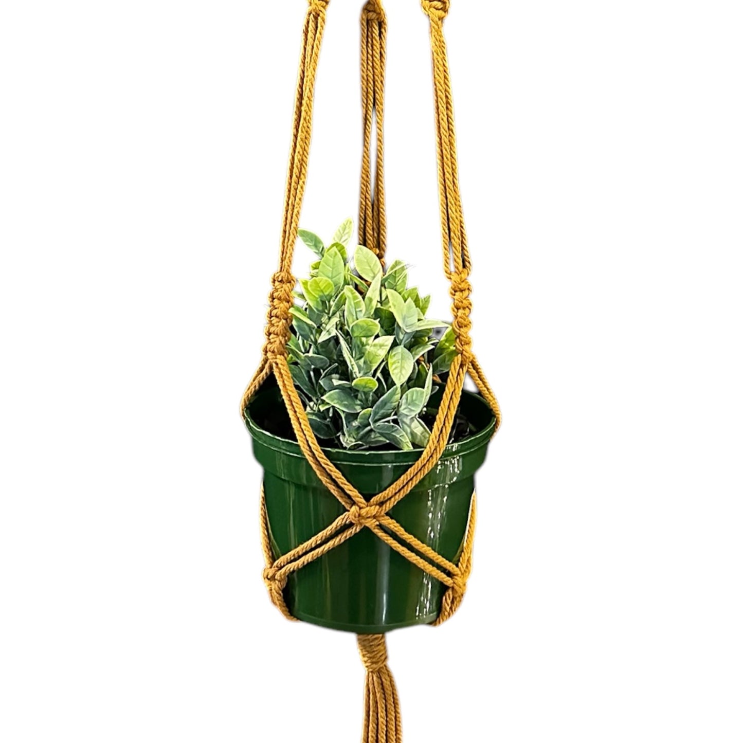 Plant Hanger | Basic