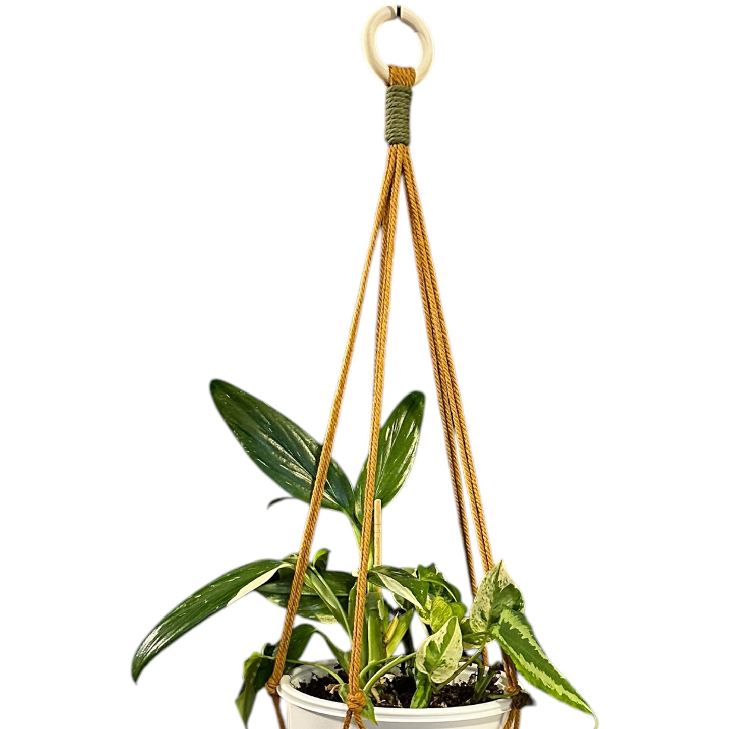 Plant Hanger | Knots