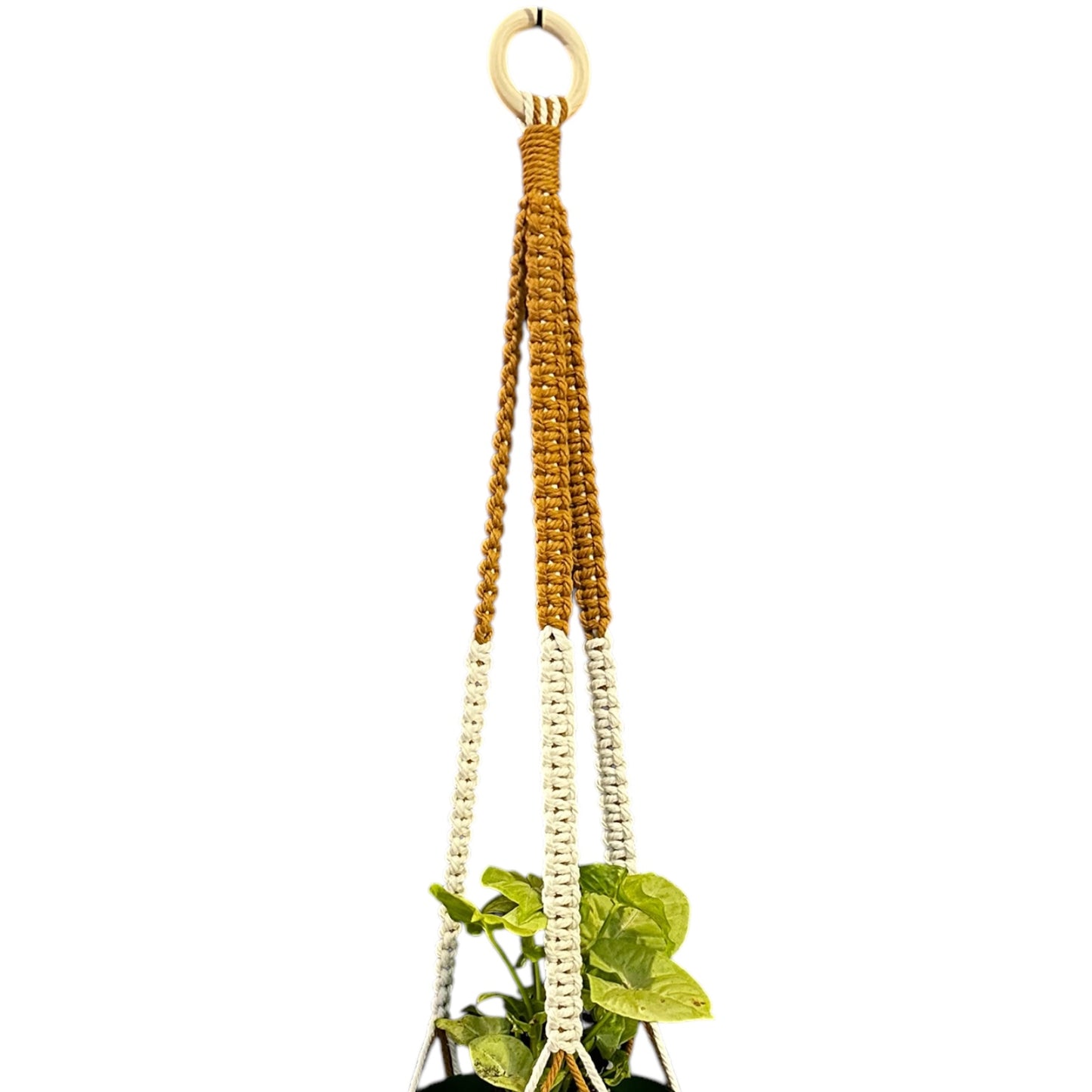 Plant Hanger | Square Knot