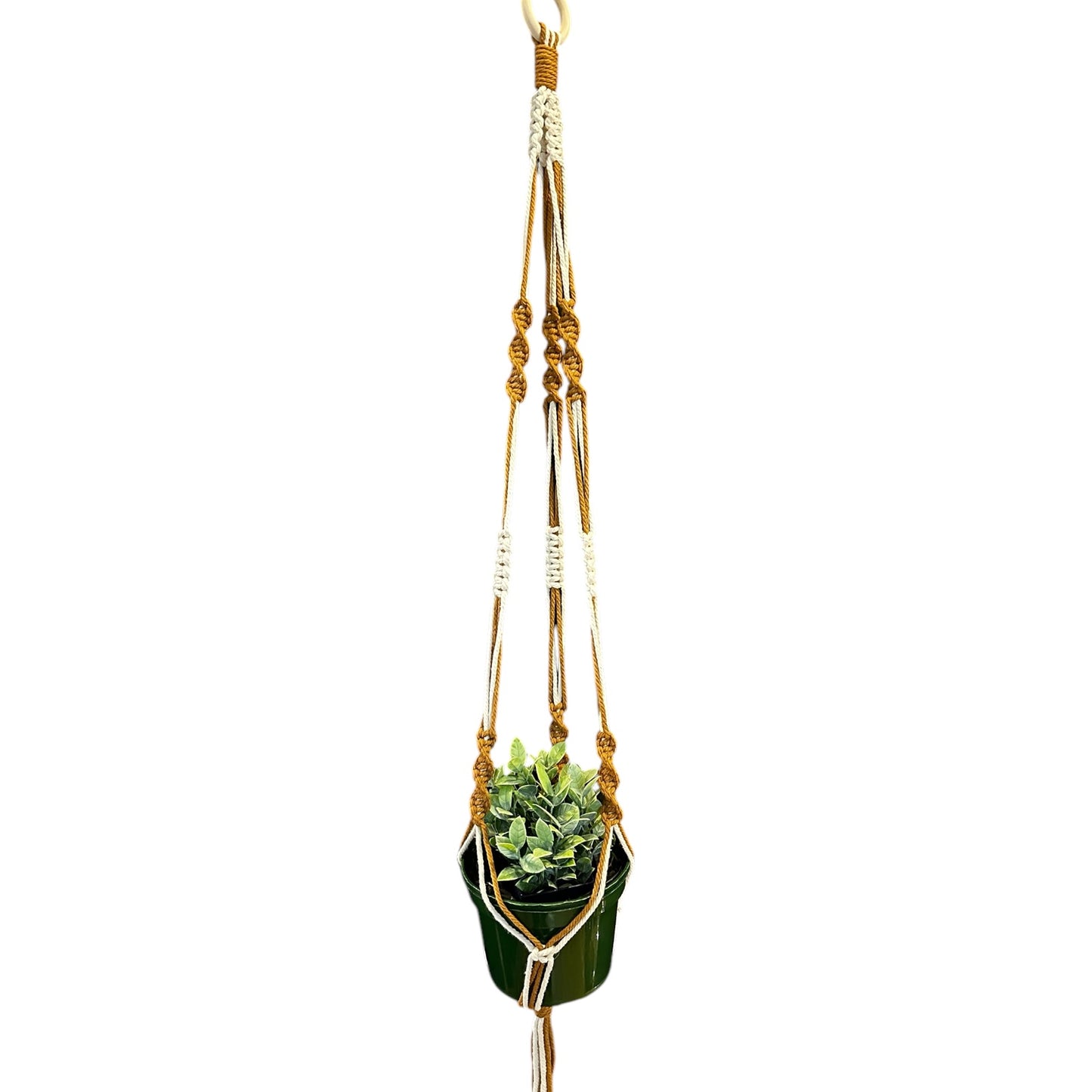 Plant Hanger | Spiral Square