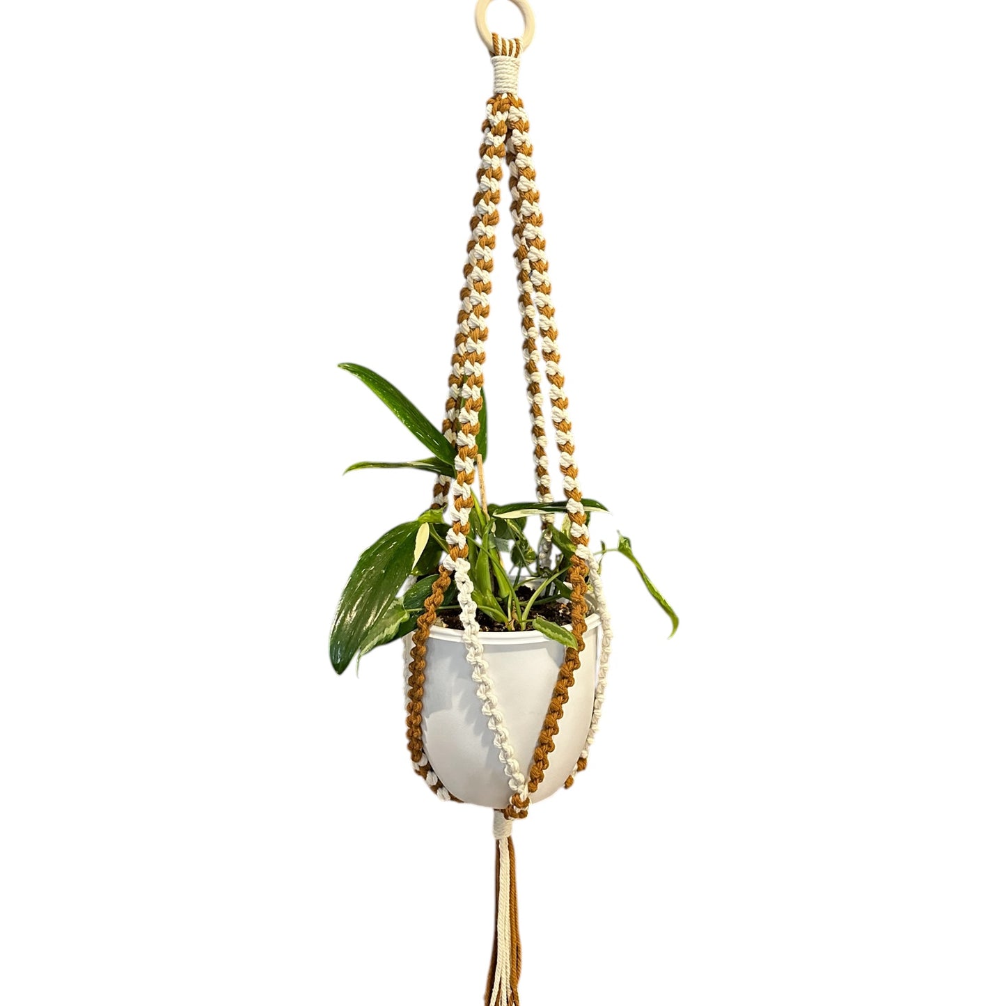 Plant Hanger | Half Hitch Knot