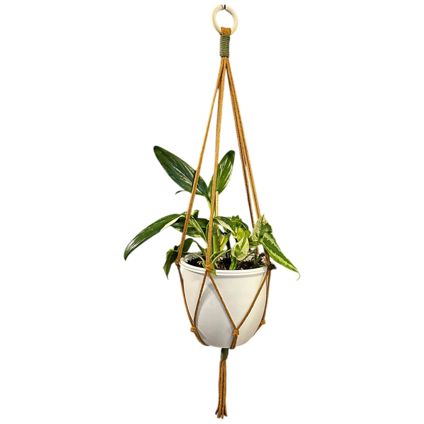 Plant Hanger | Knots