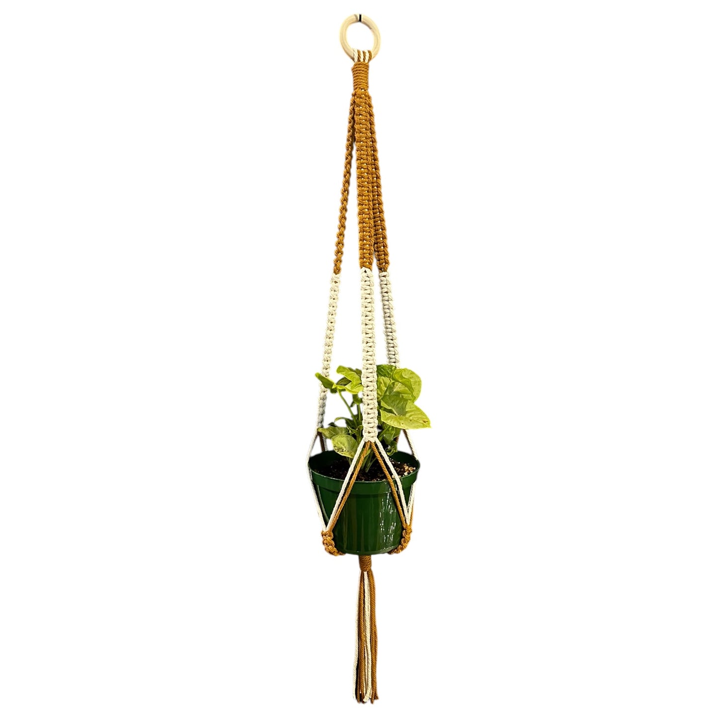 Plant Hanger | Square Knot