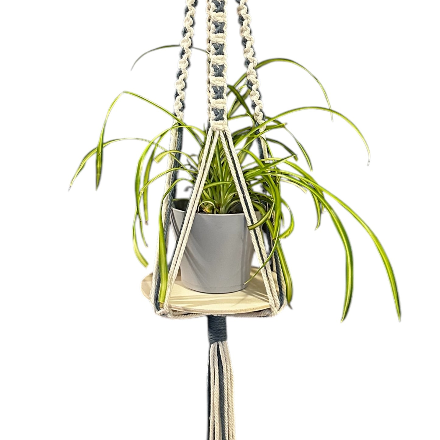 X-Pattern Plant Hanger