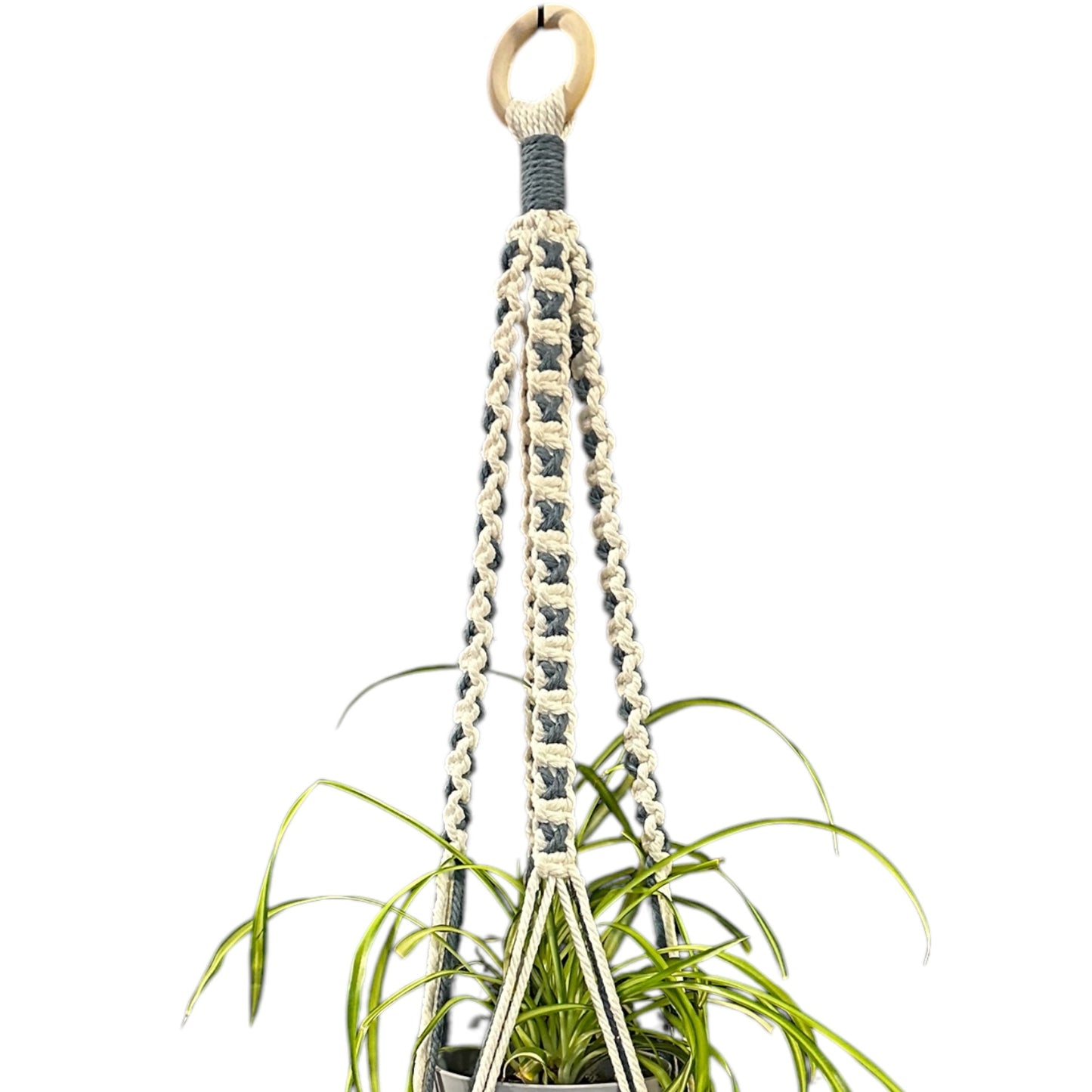 X-Pattern Plant Hanger