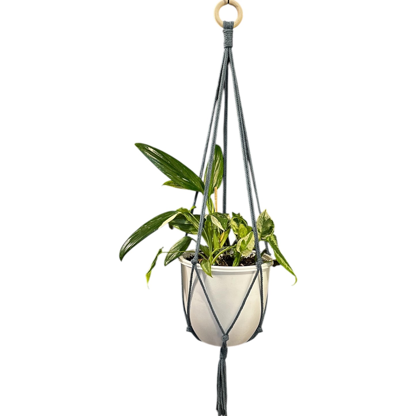 Plant Hanger | Knots