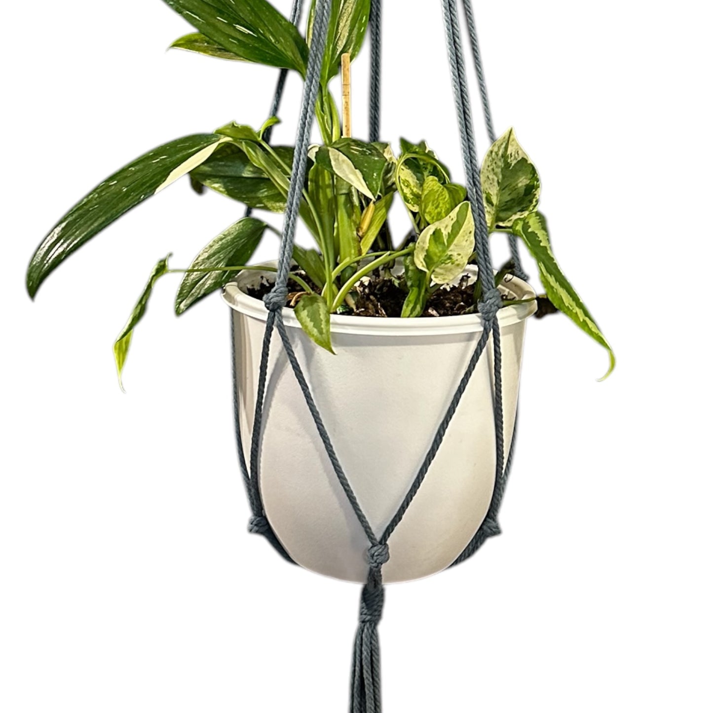 Plant Hanger | Knots