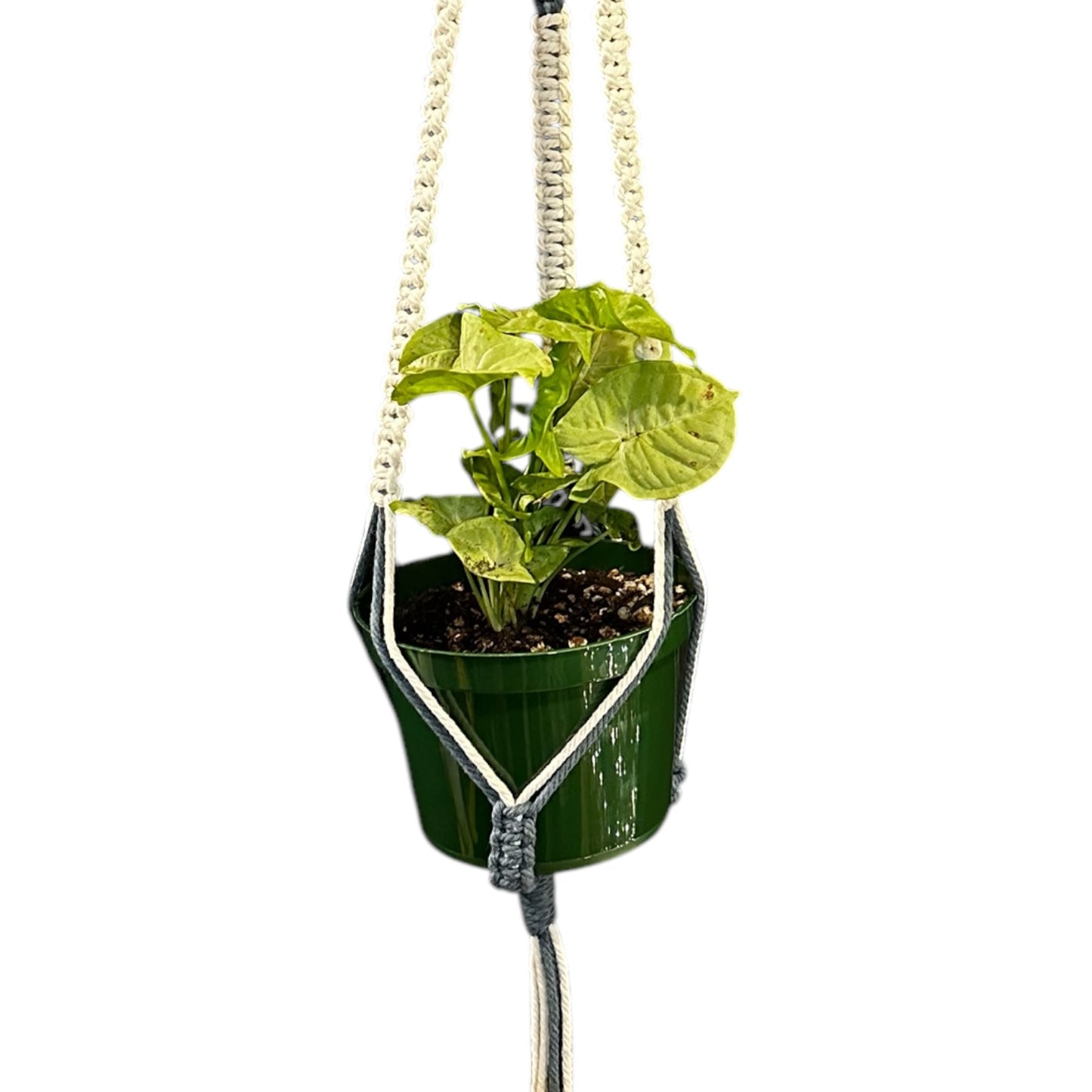 Plant Hanger | Square Knot