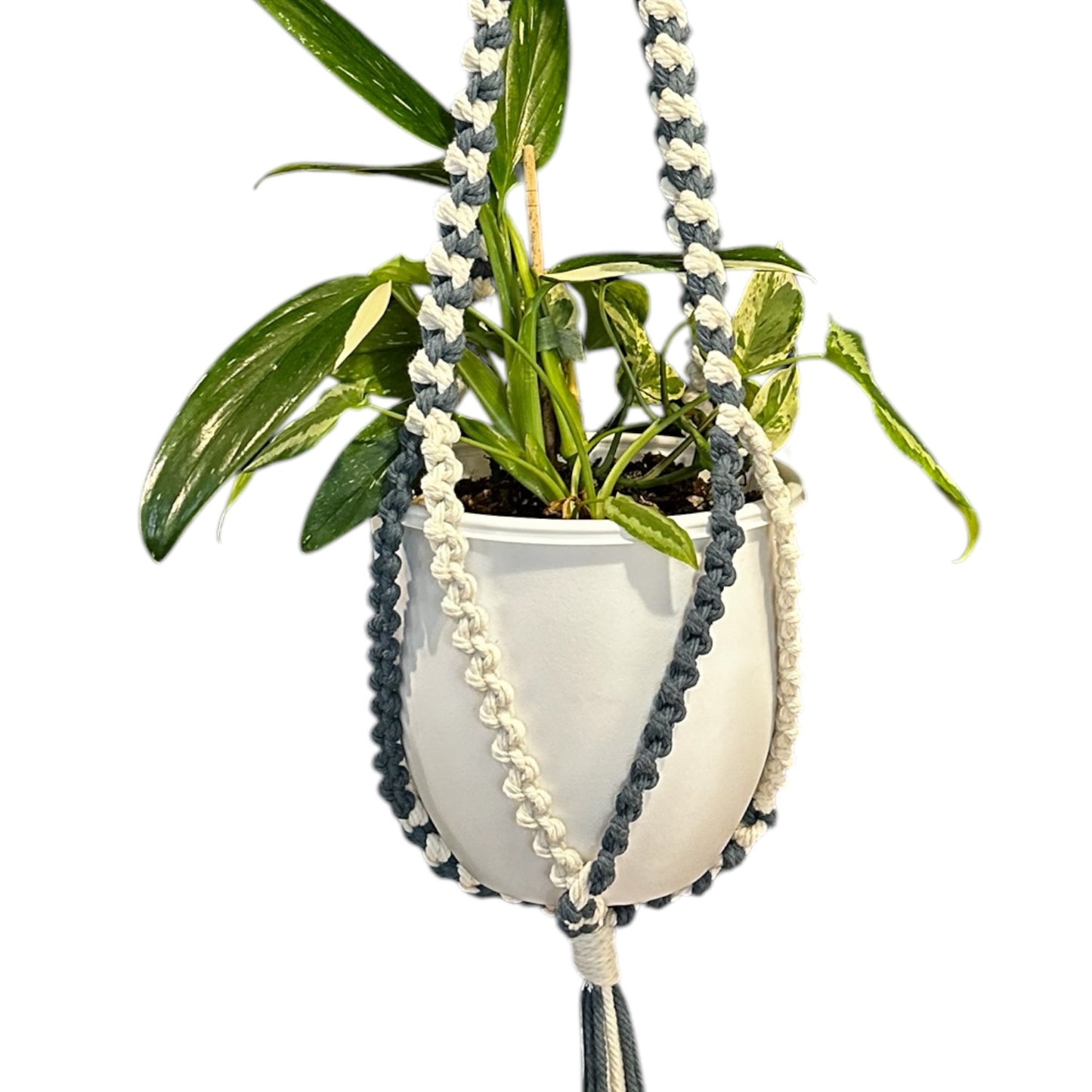 Plant Hanger | Half Hitch Knot