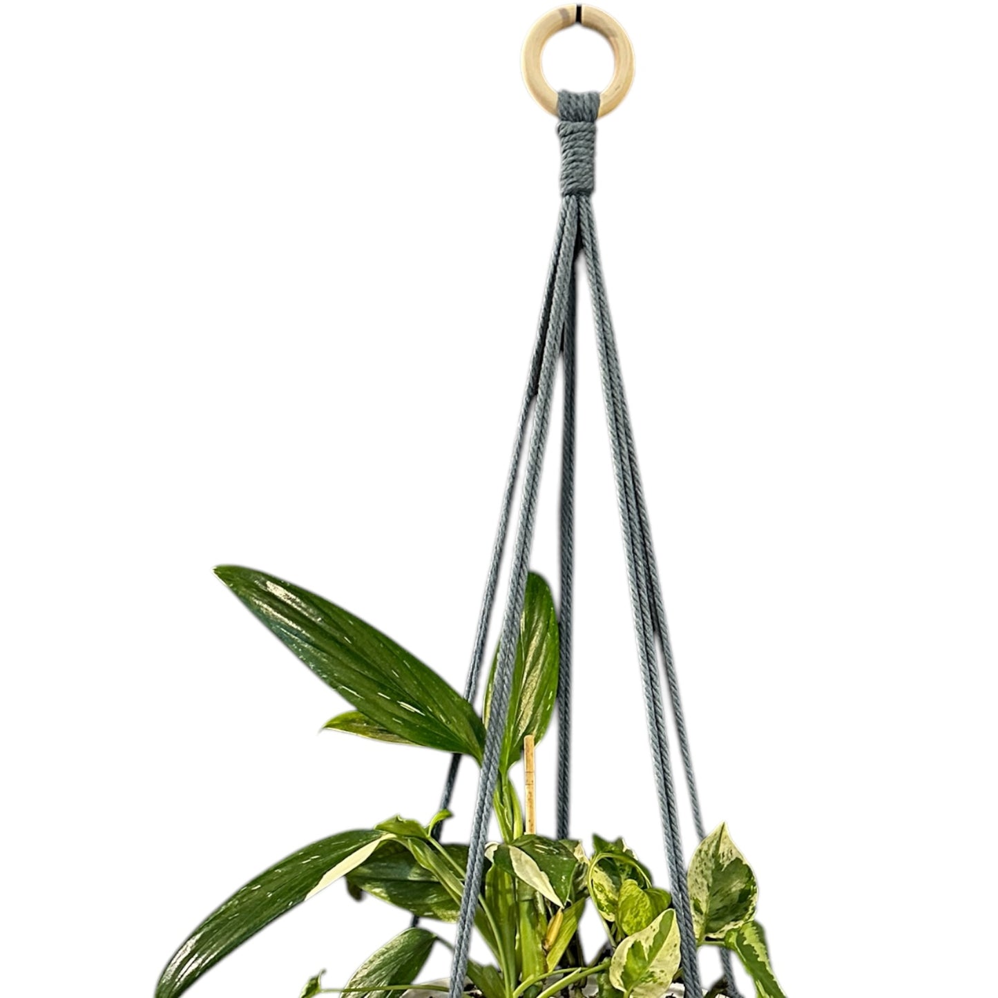 Plant Hanger | Knots