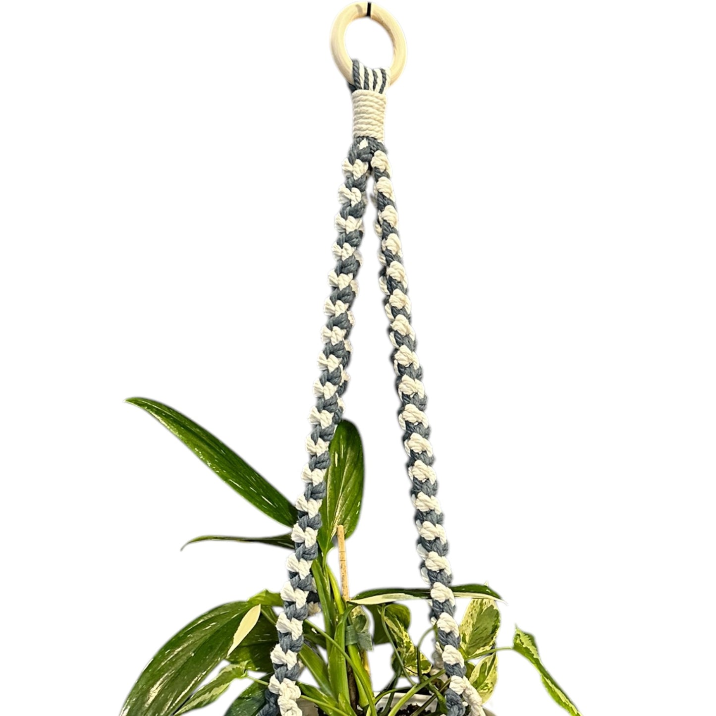 Plant Hanger | Half Hitch Knot