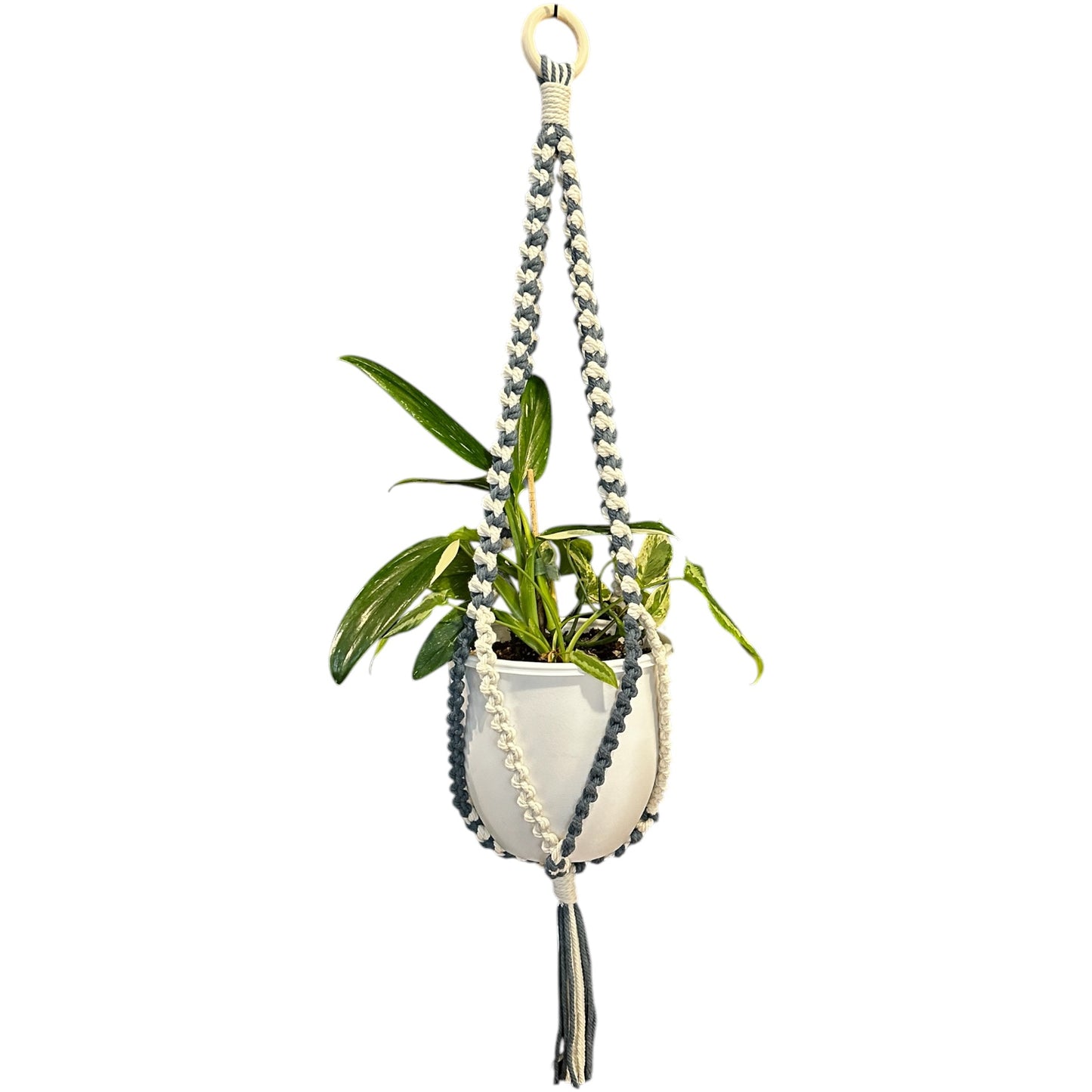 Plant Hanger | Half Hitch Knot