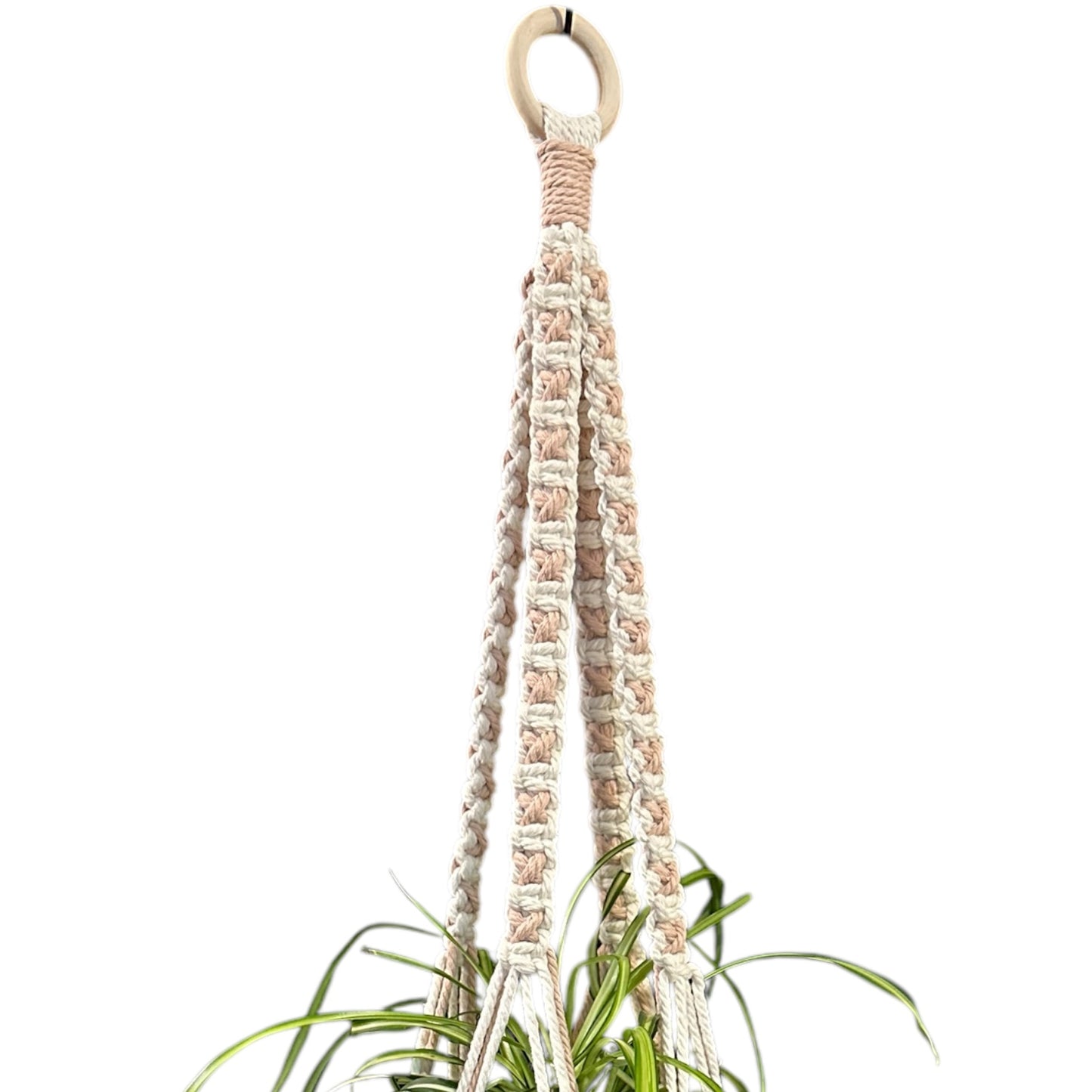 X-Pattern Plant Hanger