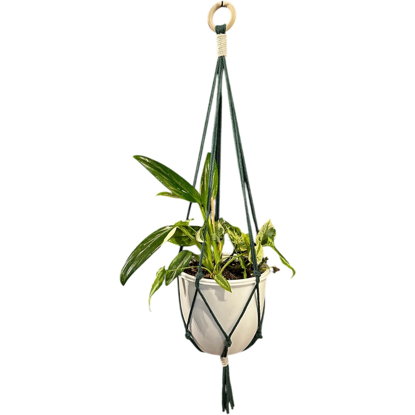 Plant Hanger | Knots