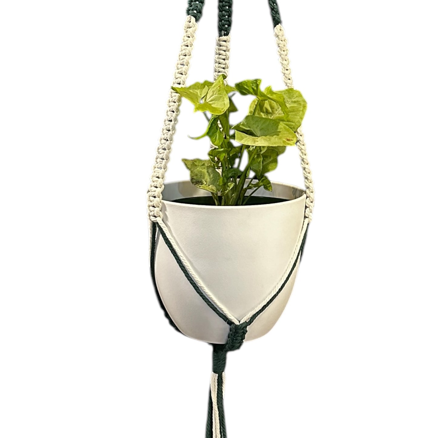 Plant Hanger | Square Knot