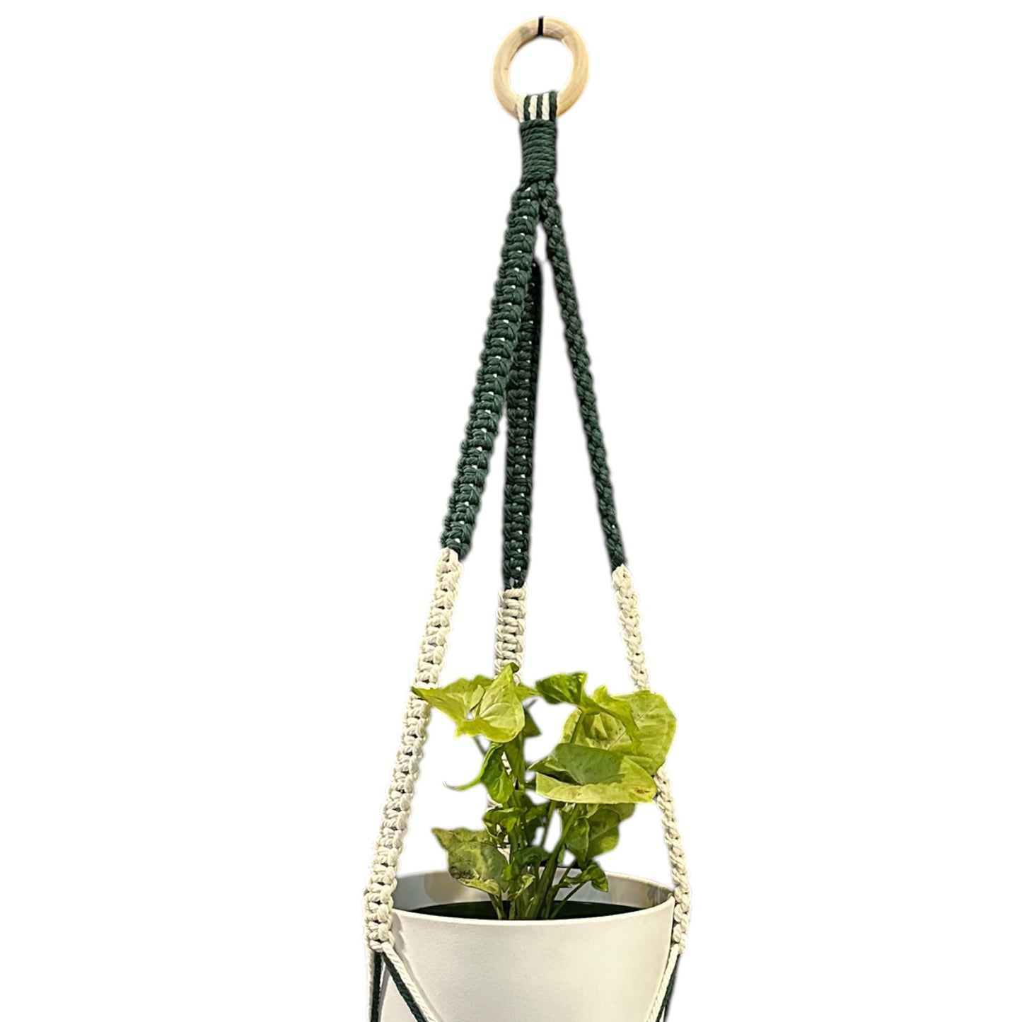 Plant Hanger | Square Knot