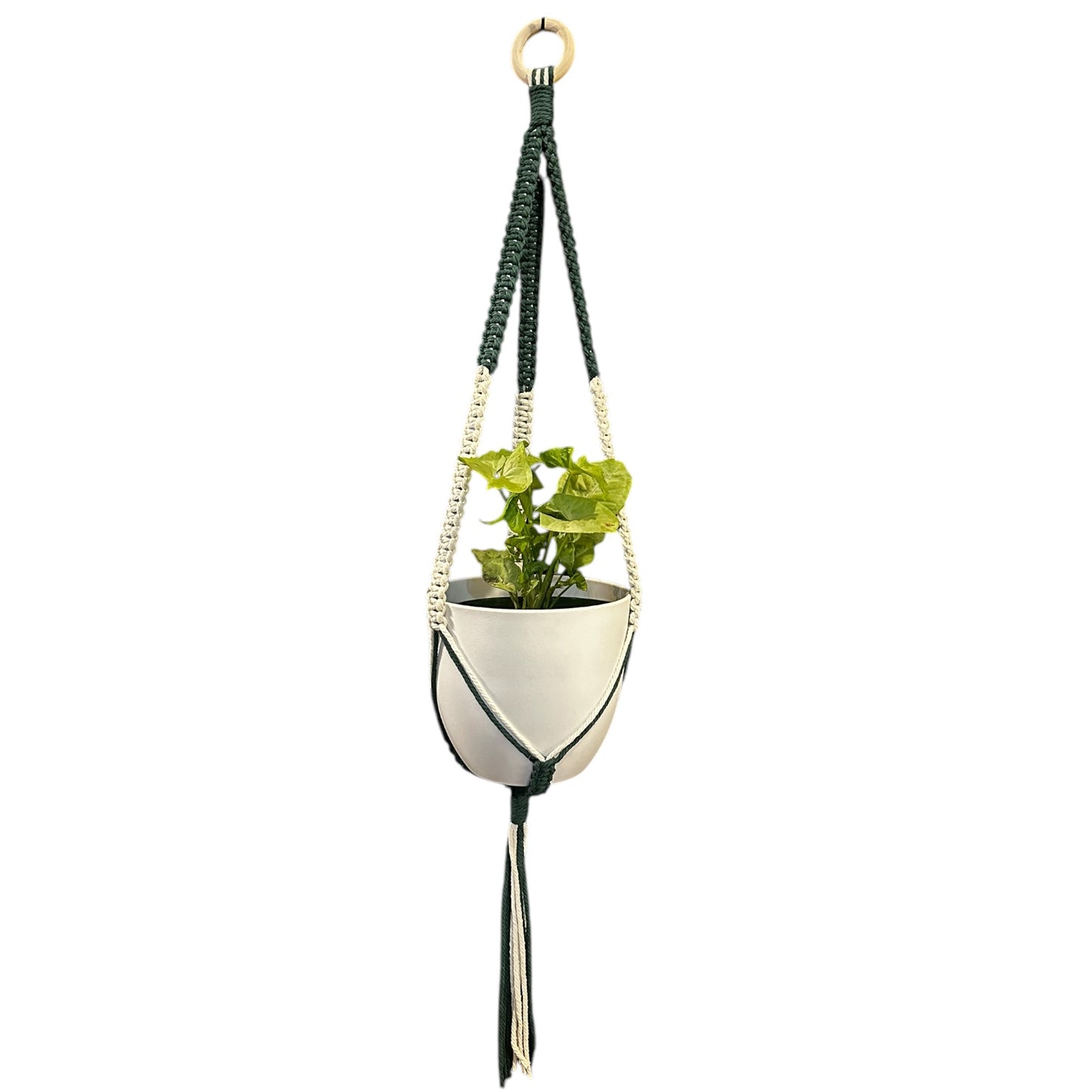 Plant Hanger | Square Knot