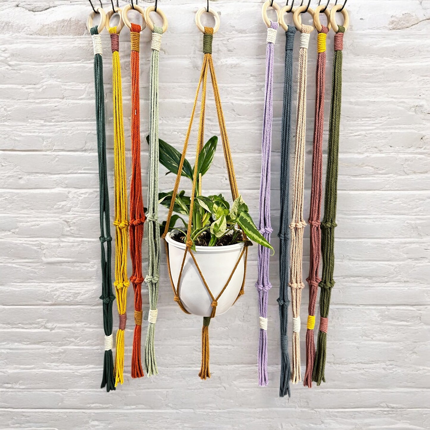 Plant Hanger | Knots