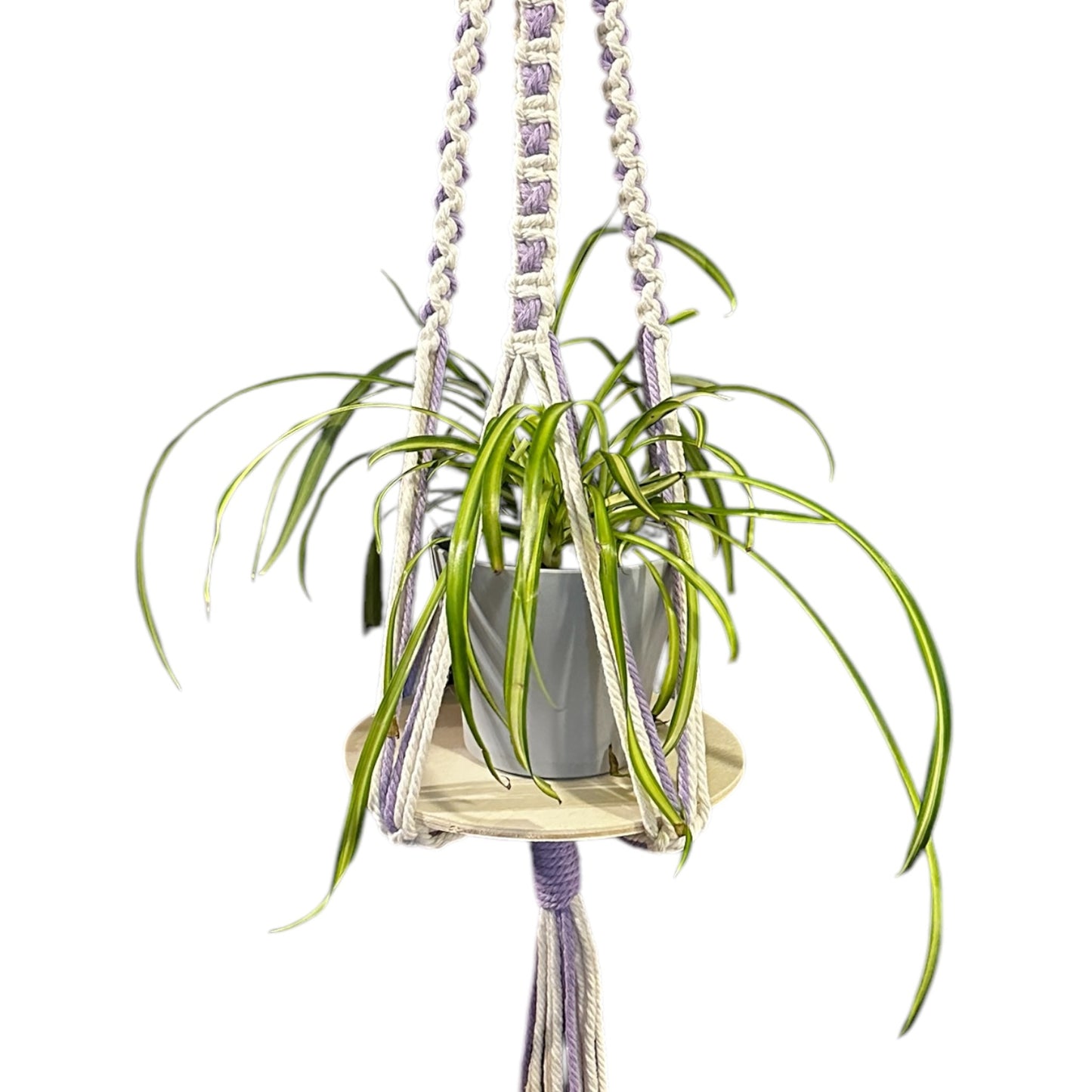 X-Pattern Plant Hanger