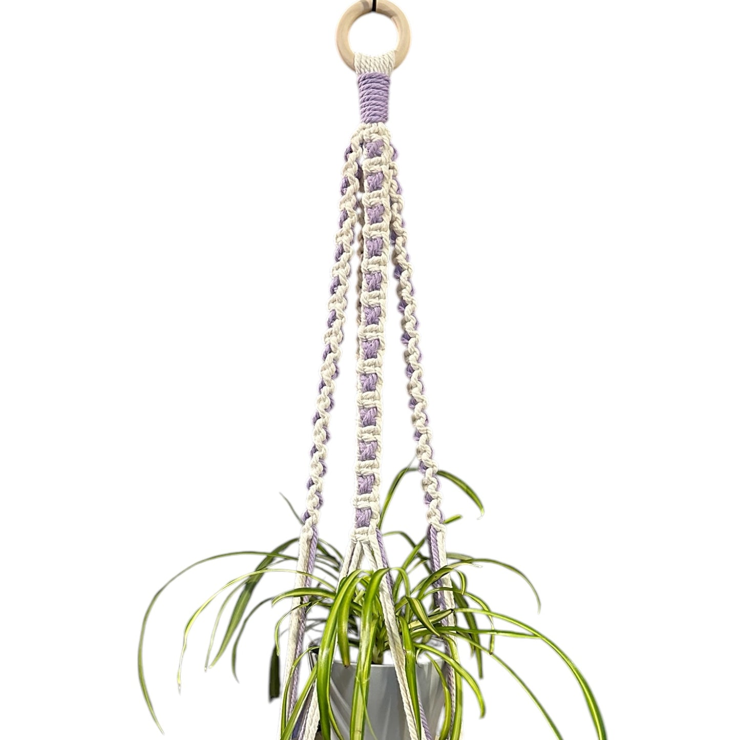 X-Pattern Plant Hanger