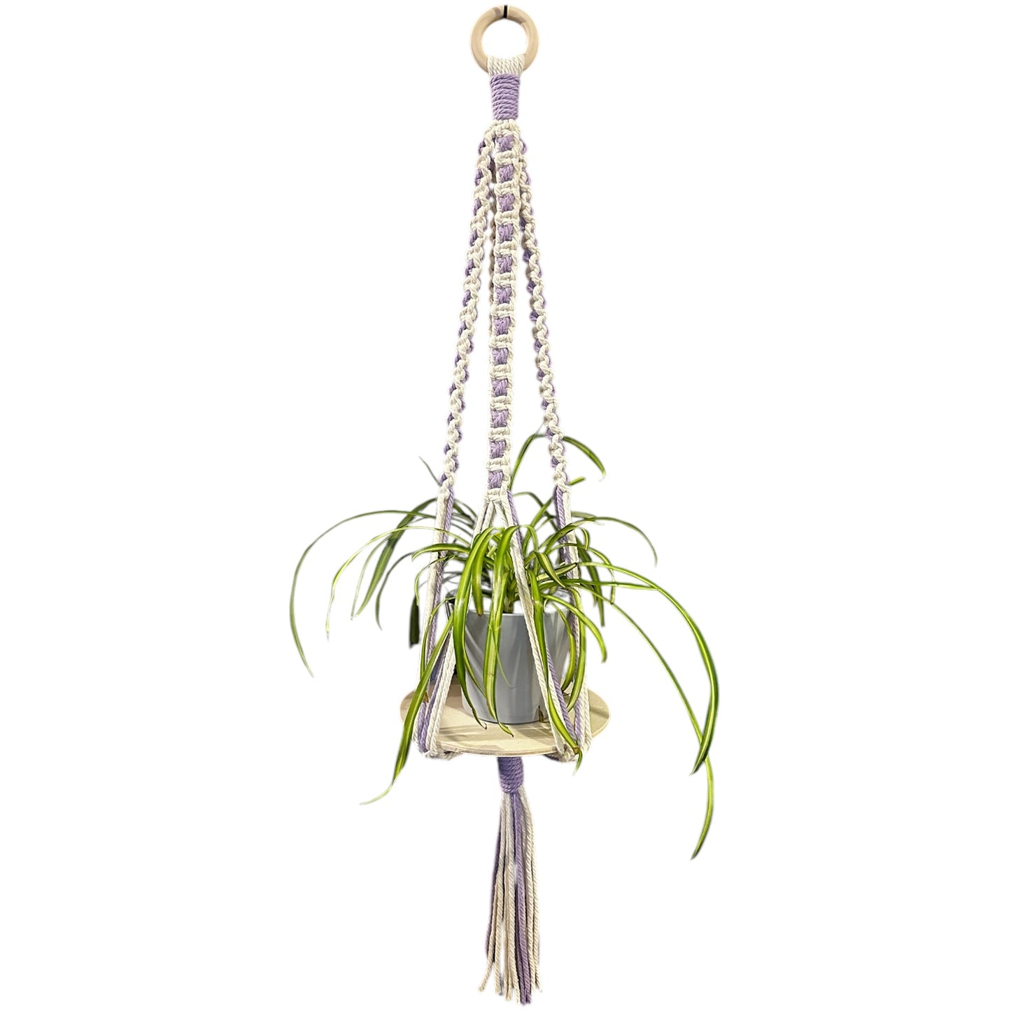 X-Pattern Plant Hanger