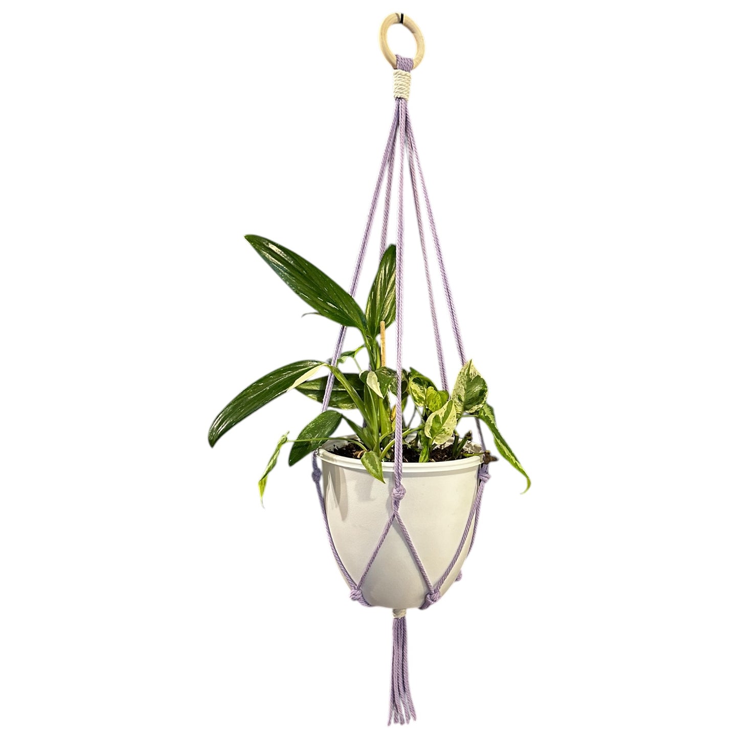 Plant Hanger | Knots