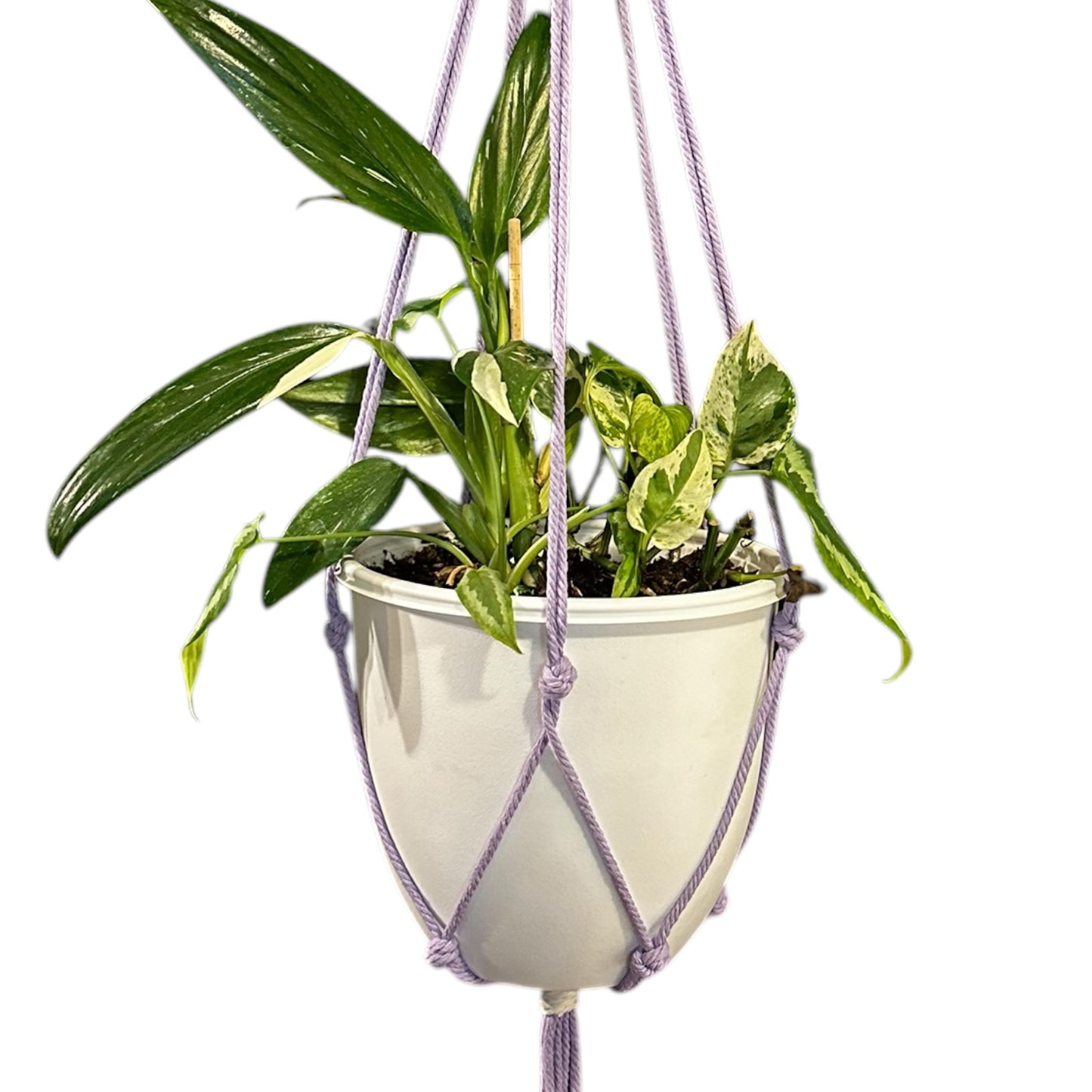 Plant Hanger | Knots