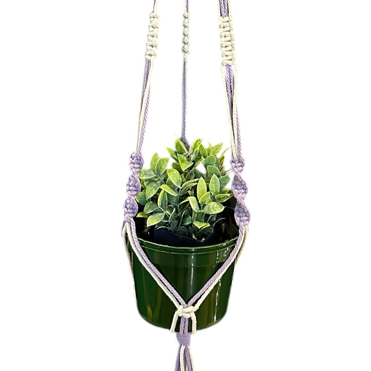 Plant Hanger | Spiral Square