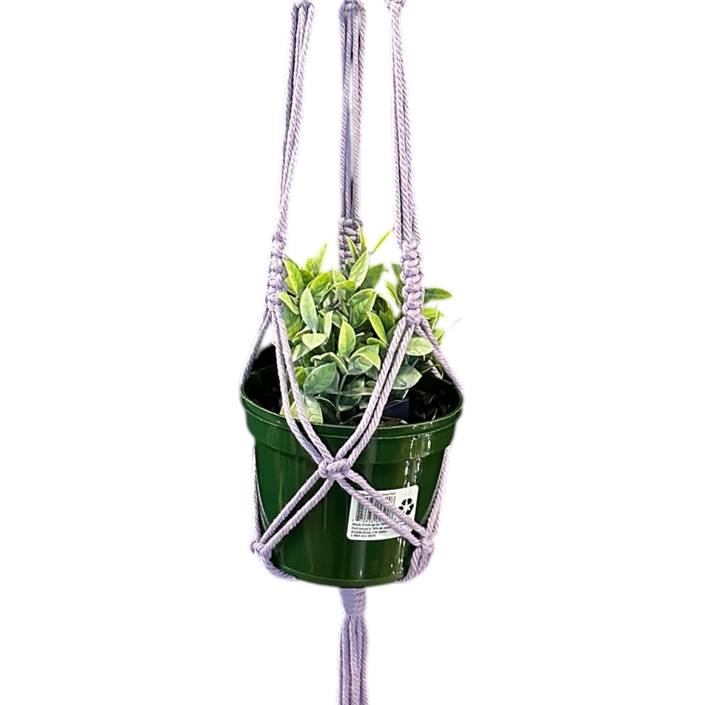 Plant Hanger | Basic