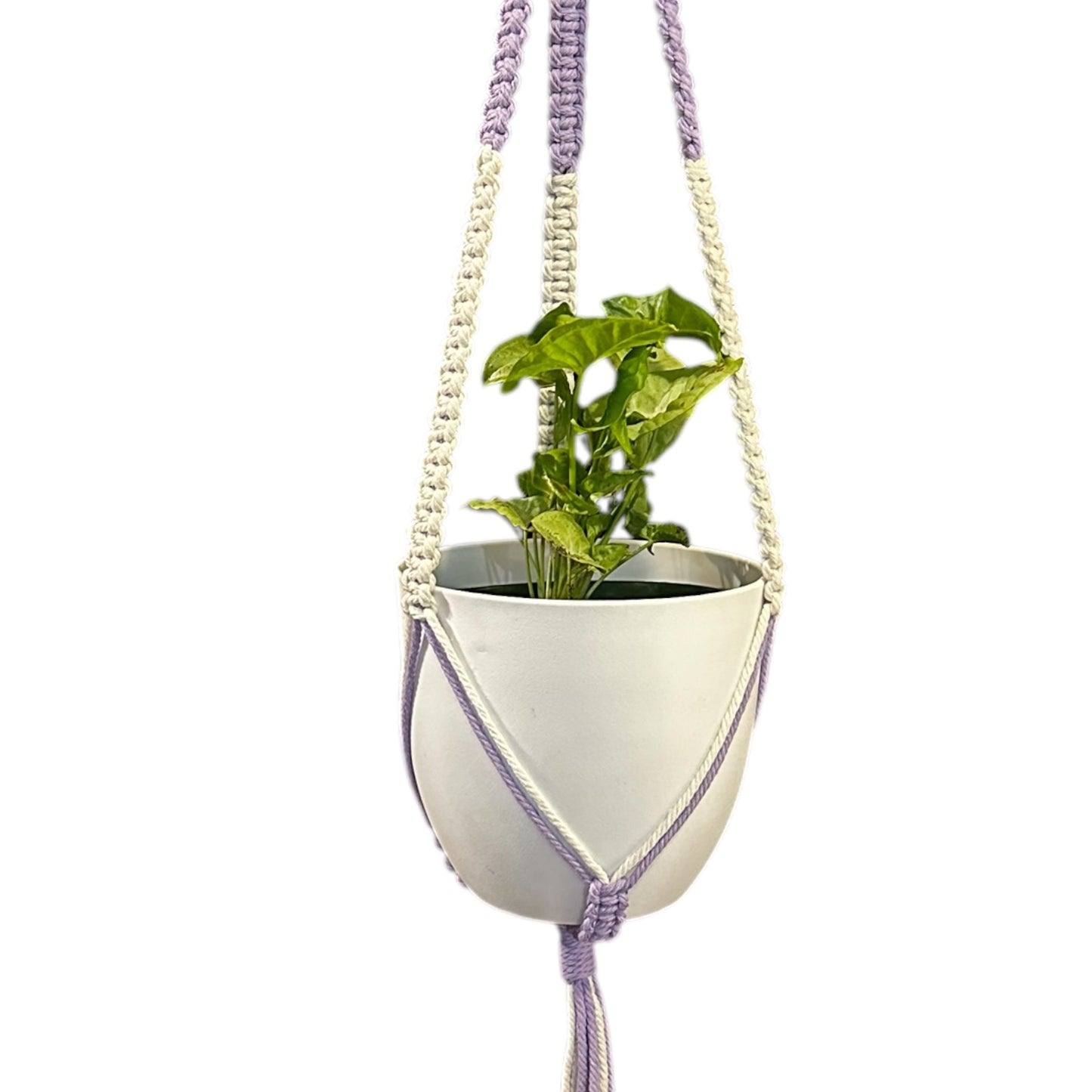 Plant Hanger | Square Knot