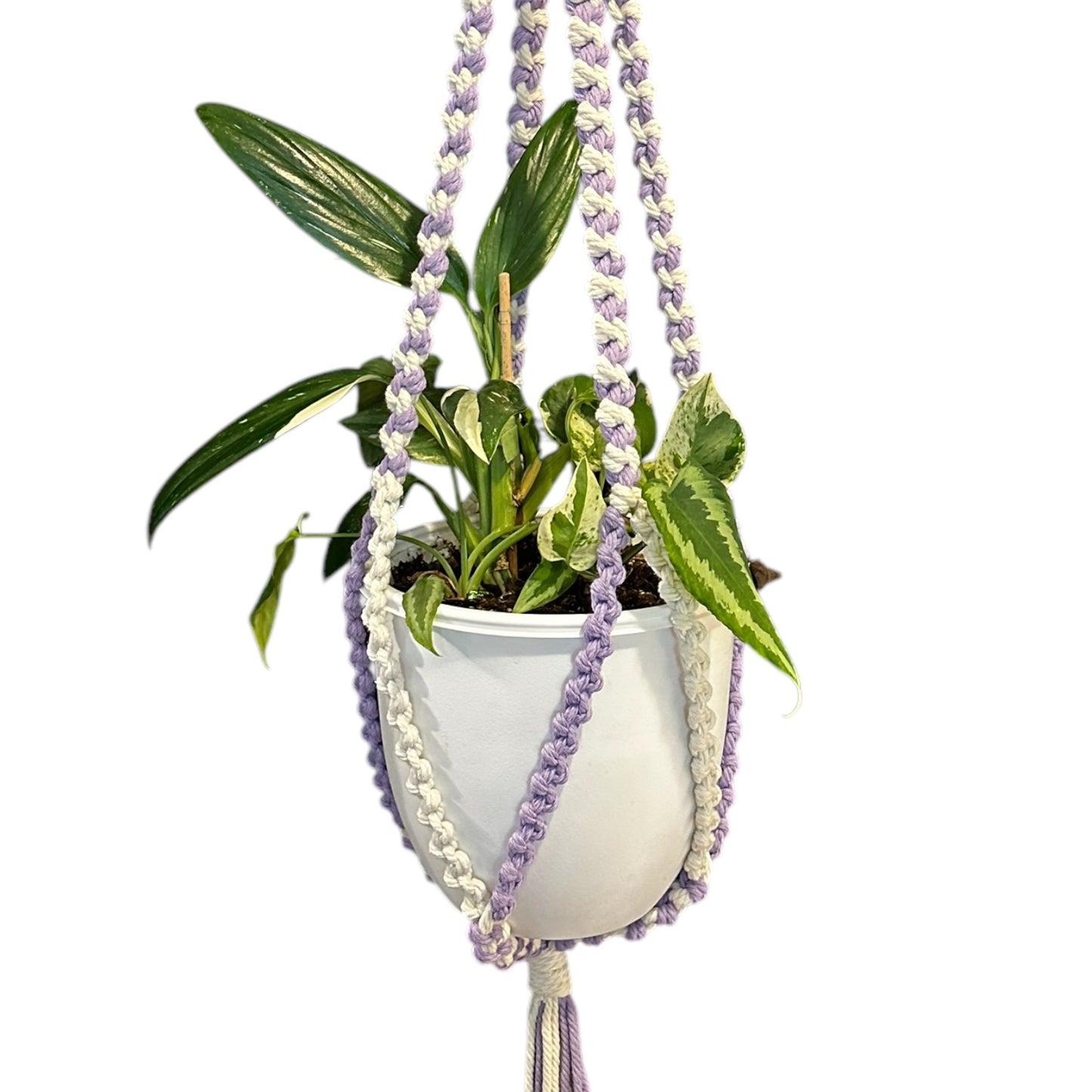 Plant Hanger | Half Hitch Knot