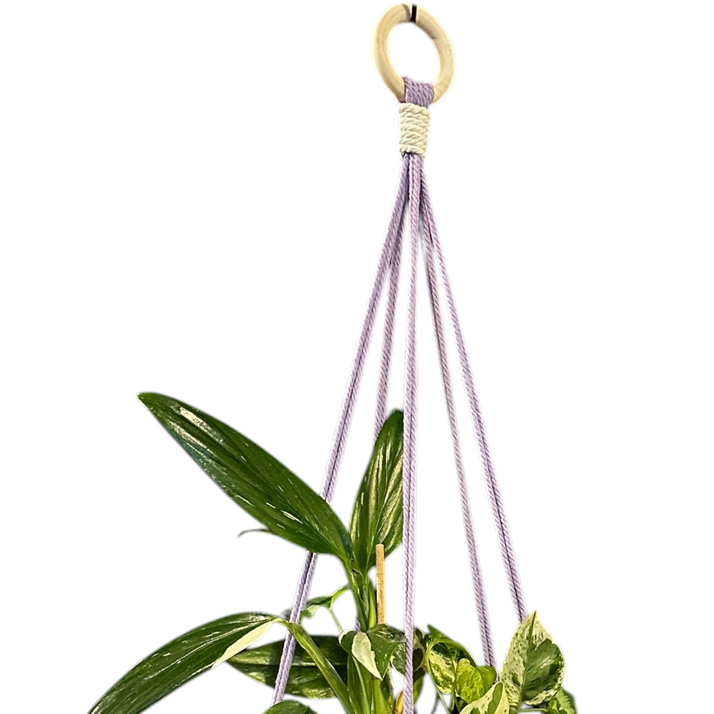 Plant Hanger | Knots