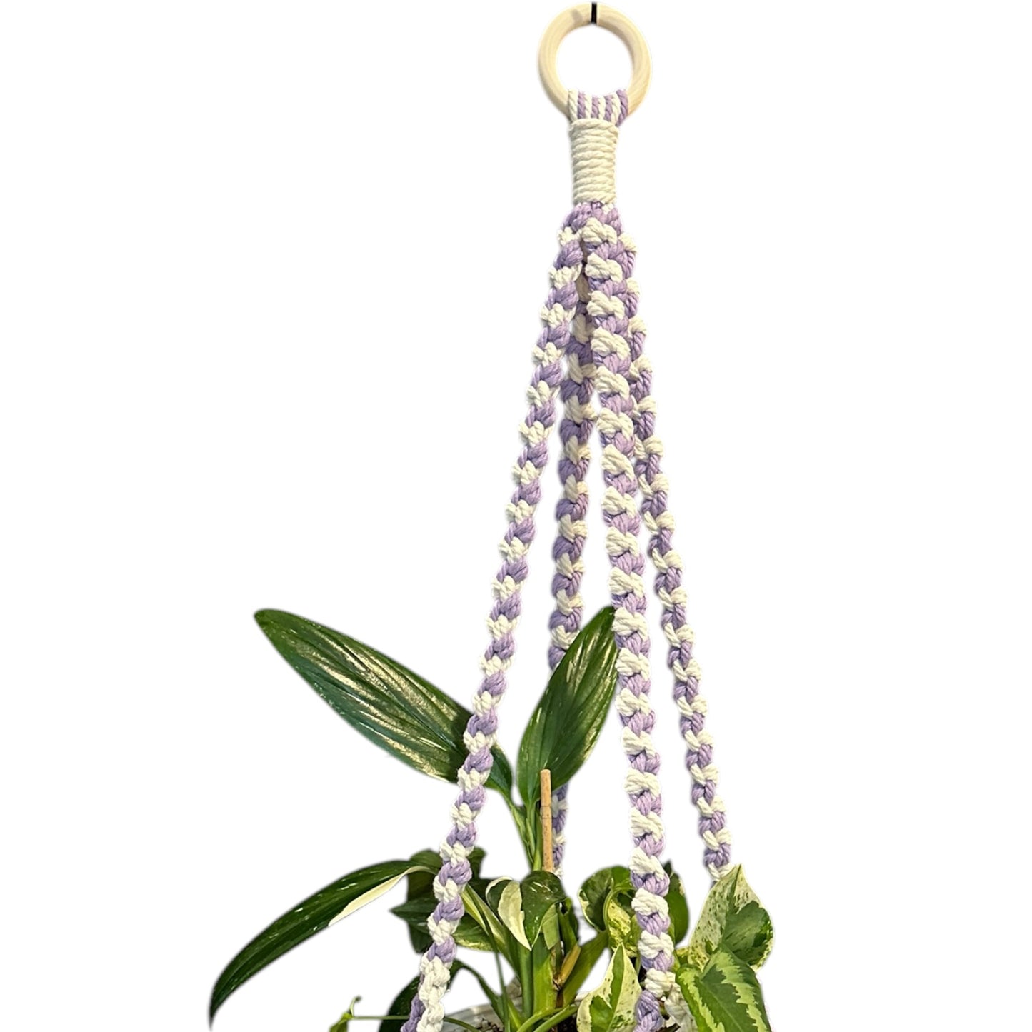 Plant Hanger | Half Hitch Knot