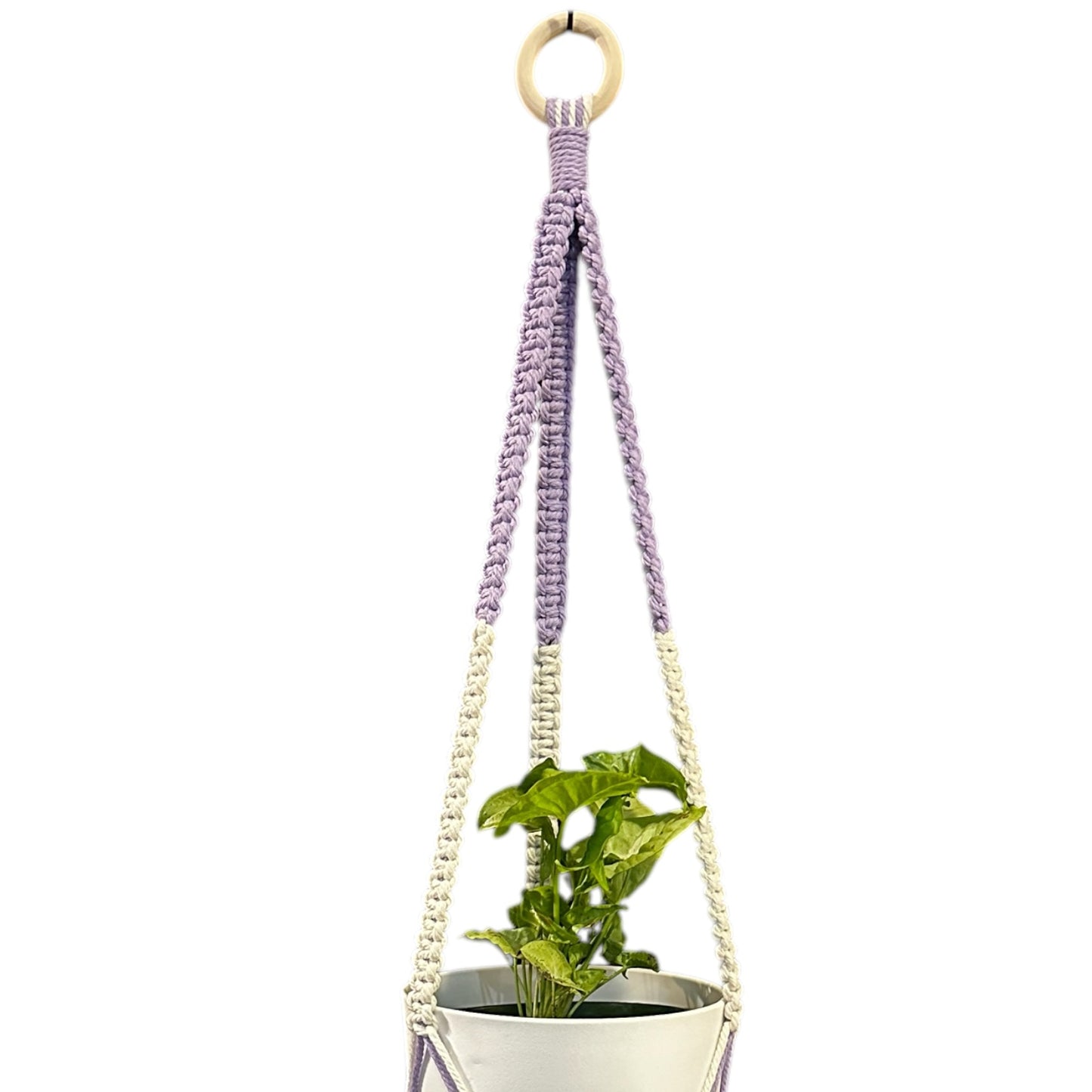 Plant Hanger | Square Knot