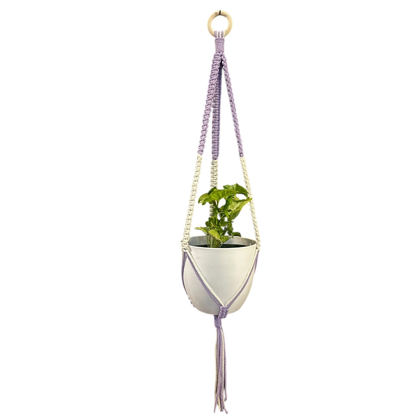 Plant Hanger | Square Knot