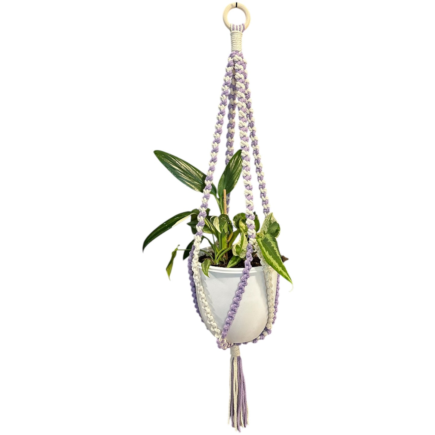 Plant Hanger | Half Hitch Knot