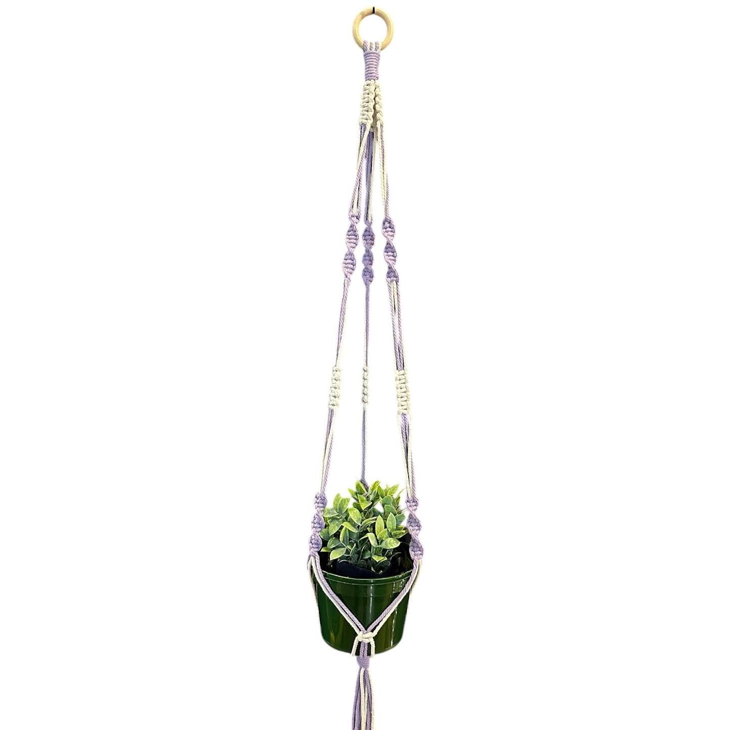 Plant Hanger | Spiral Square