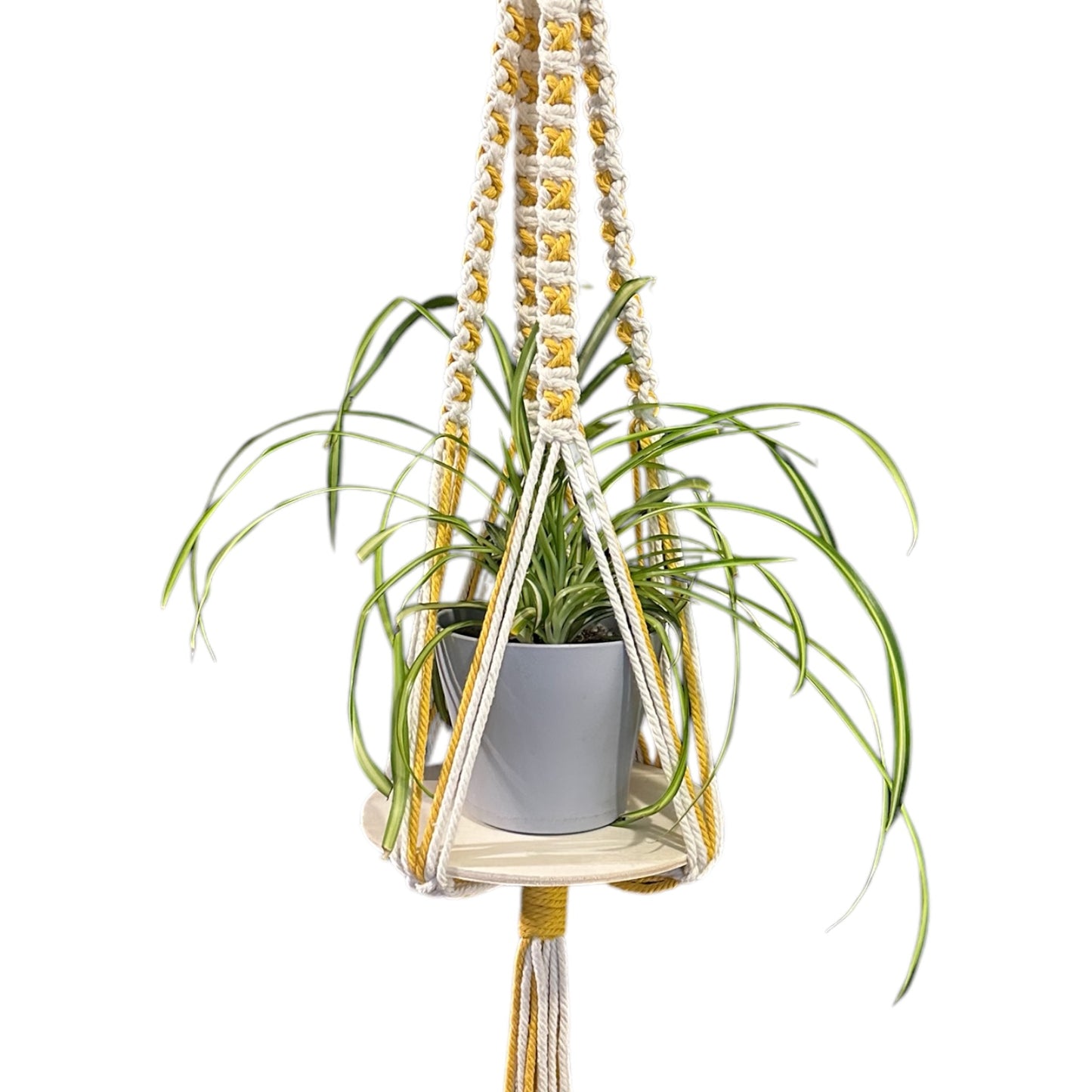 X-Pattern Plant Hanger