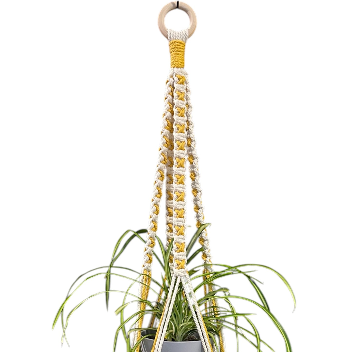 X-Pattern Plant Hanger